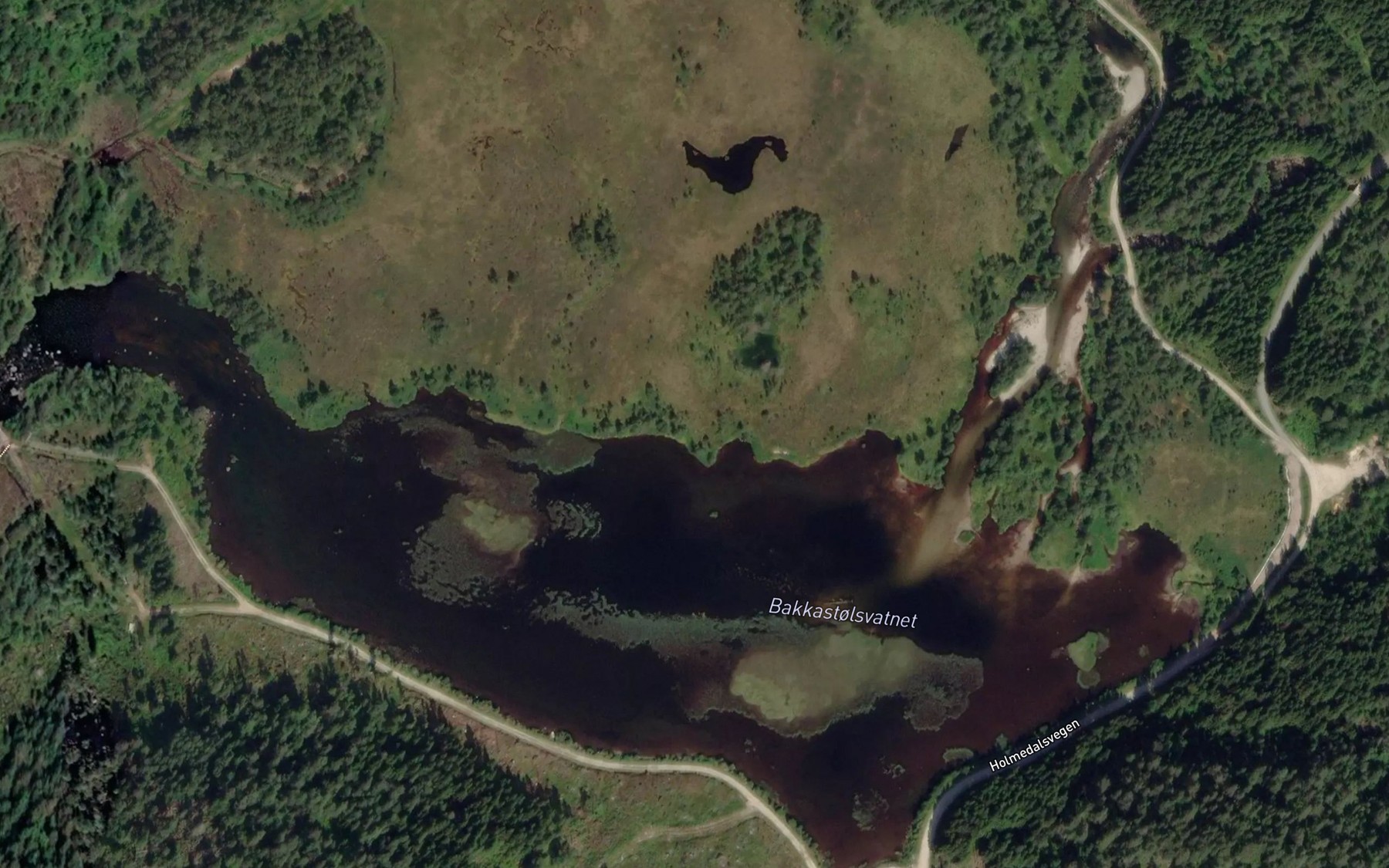Satellite map of the Bakkastolsvatnet