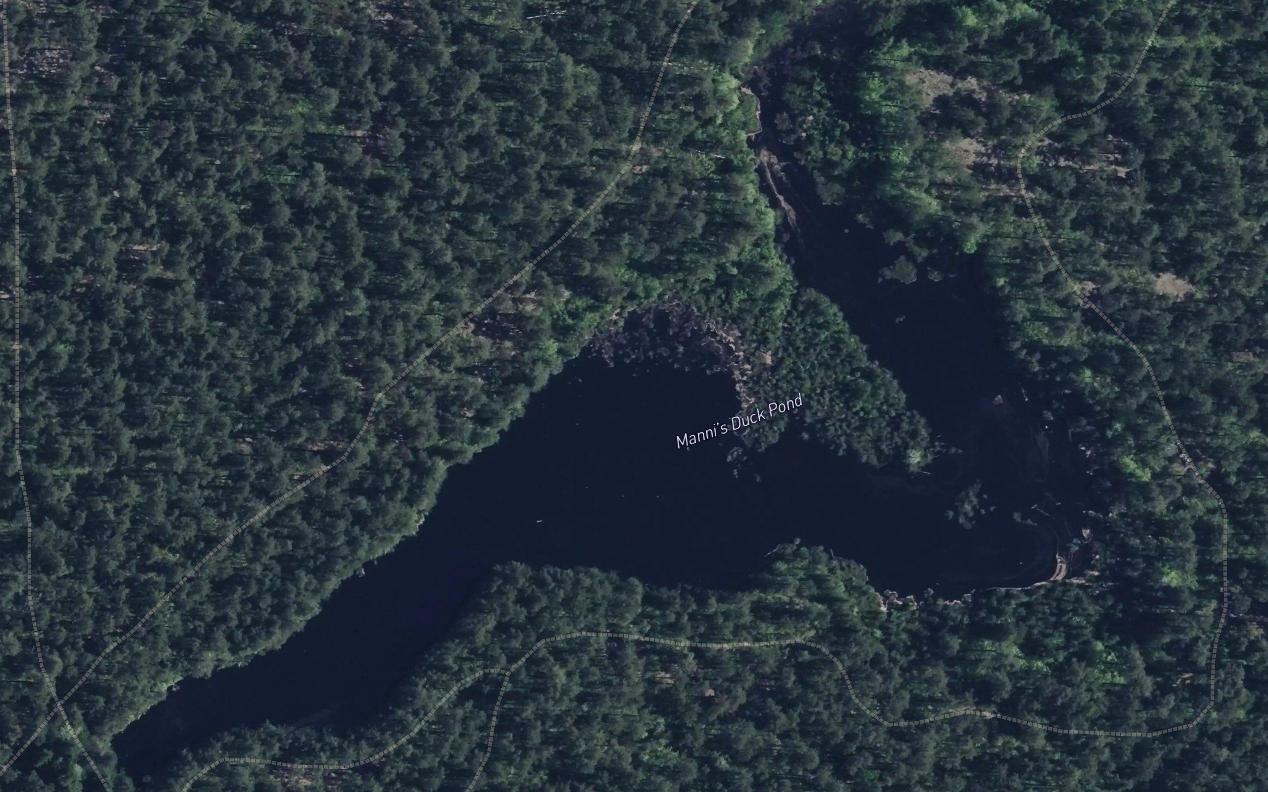 Mannis Duck Pond