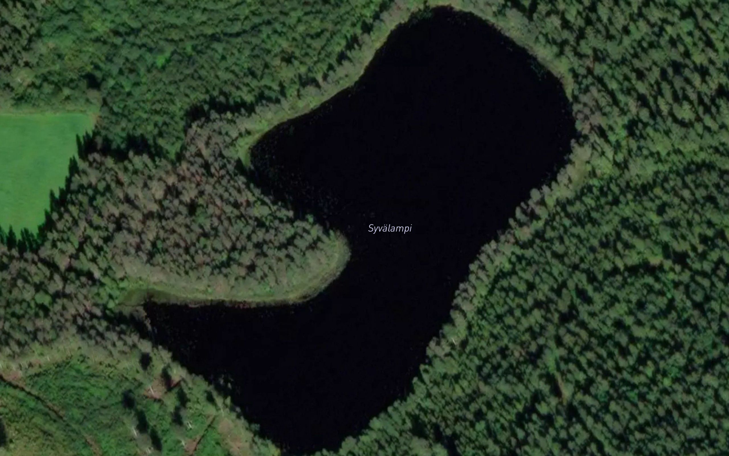 Syvalampi