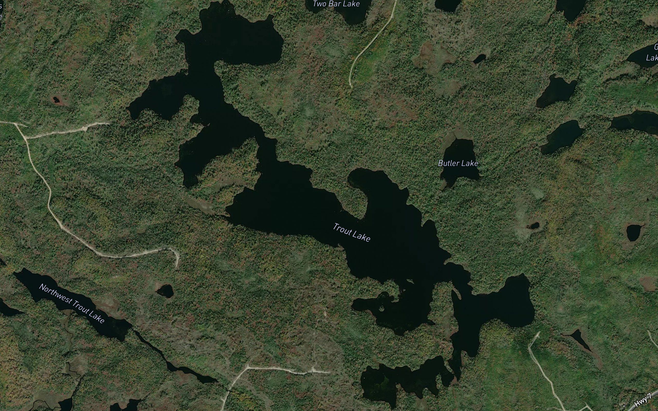 Trout Lake