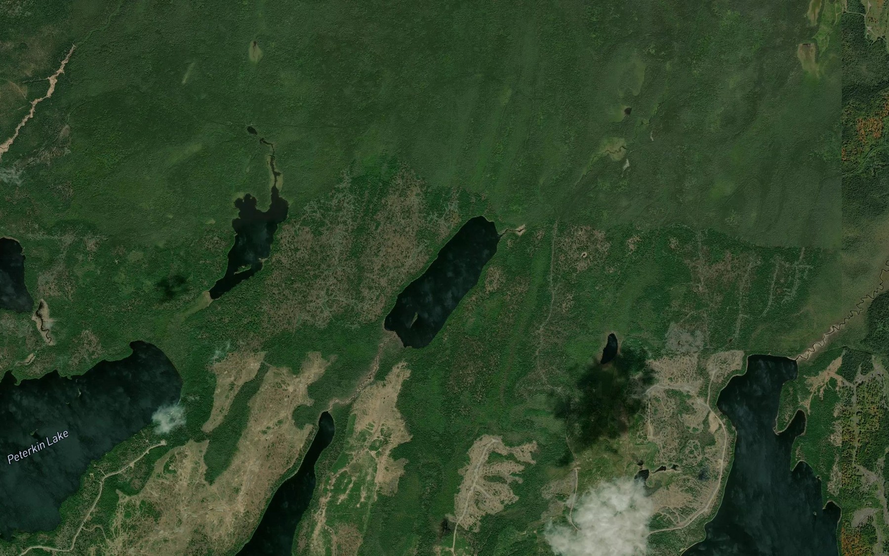 Satellite map of the Good Lake