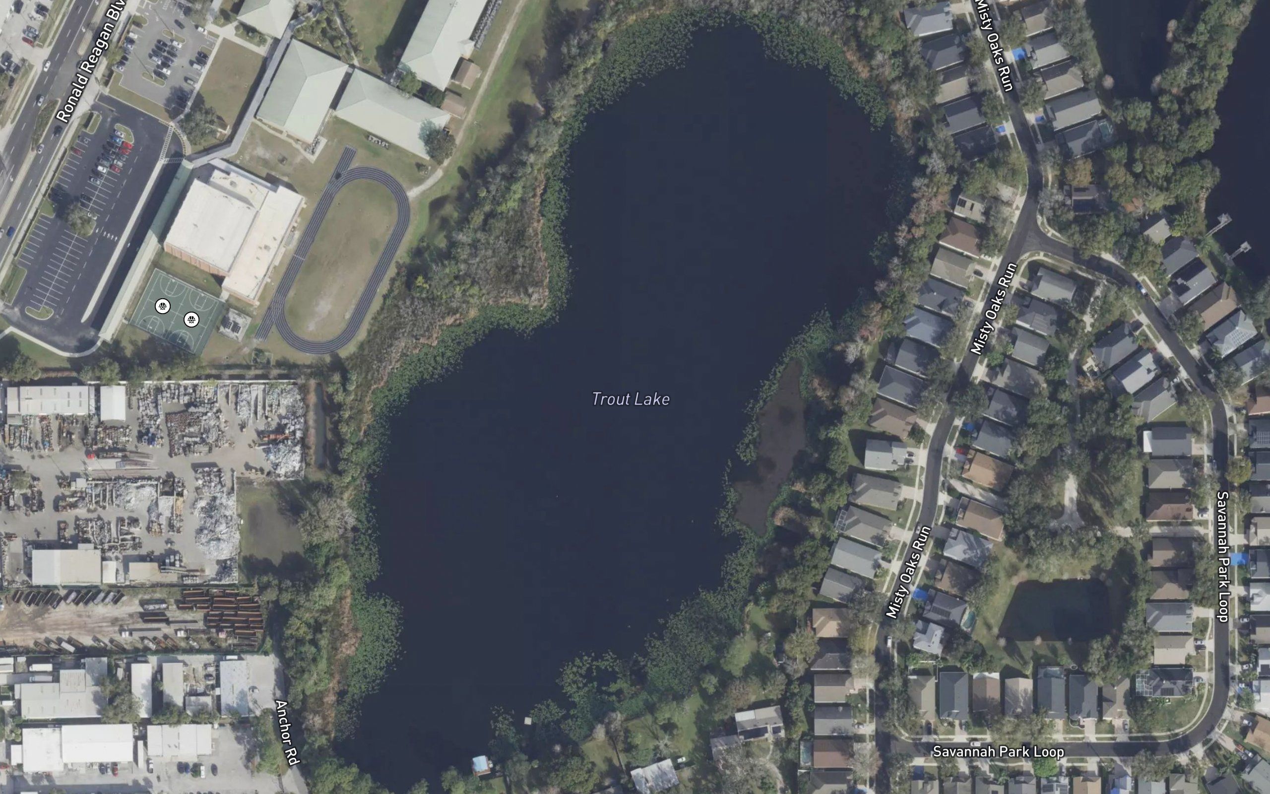 Trout Lake