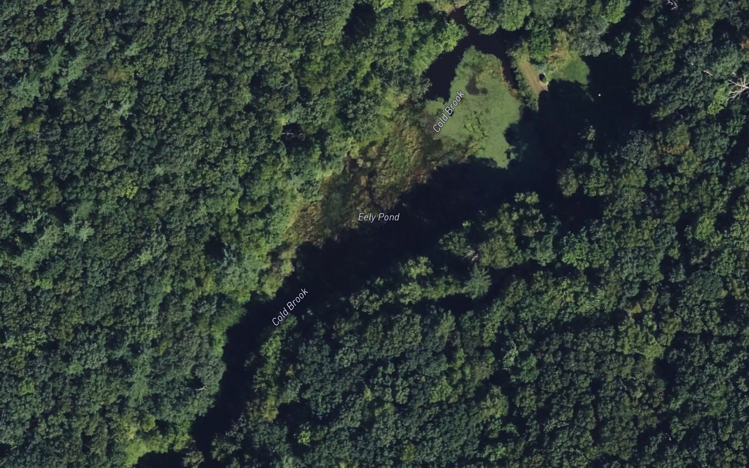 Eely Pond