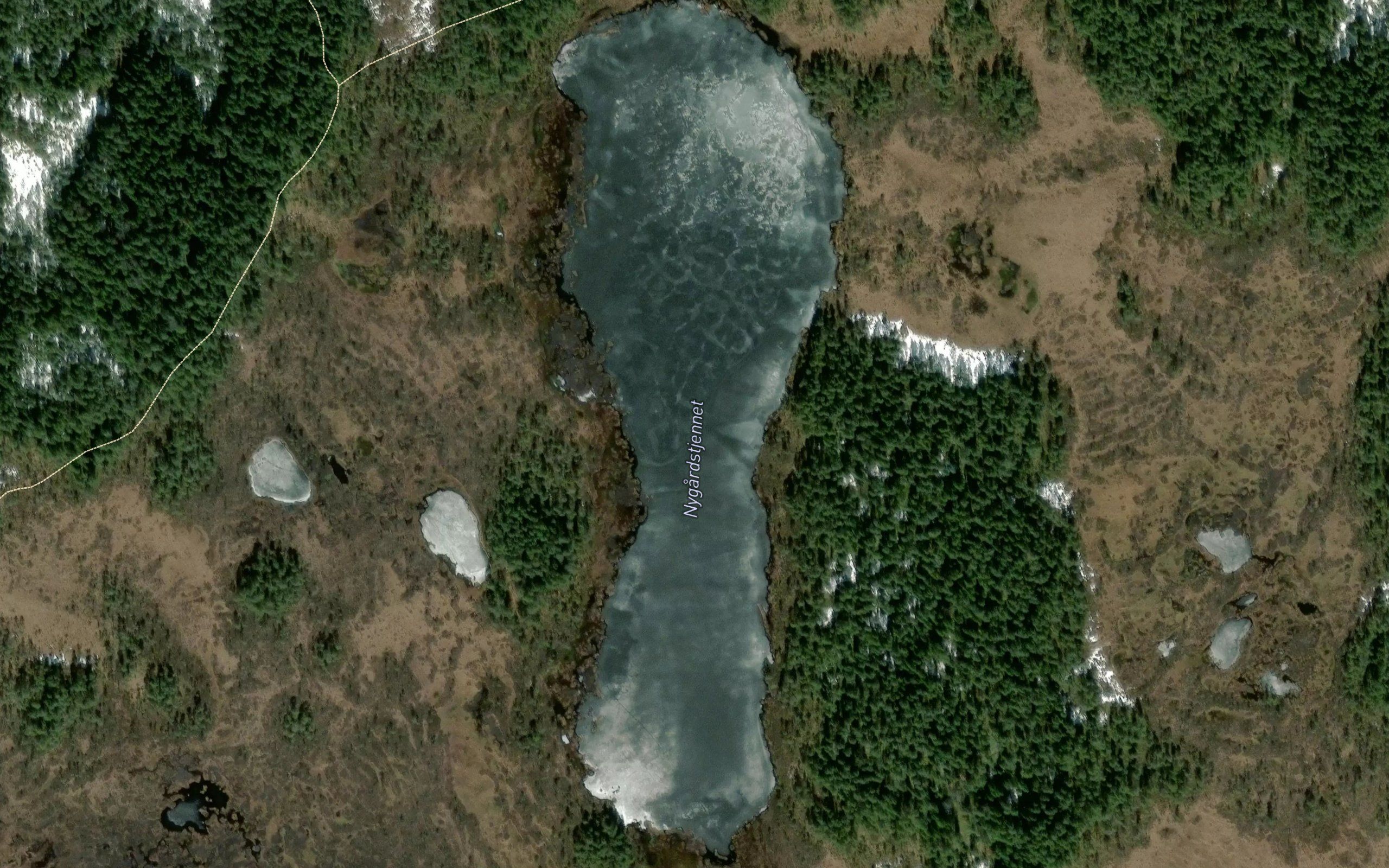 Nygardstjernet