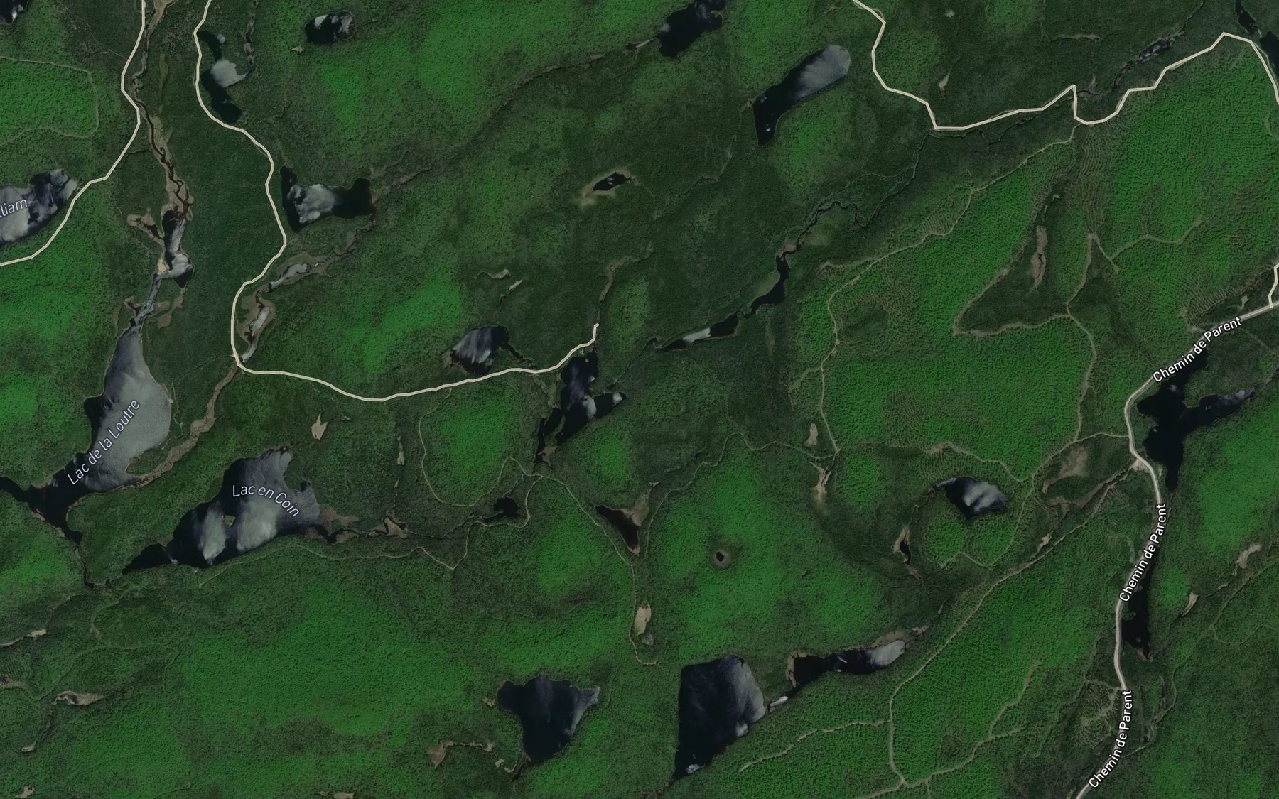 Satellite map of the Petit lac Prevost