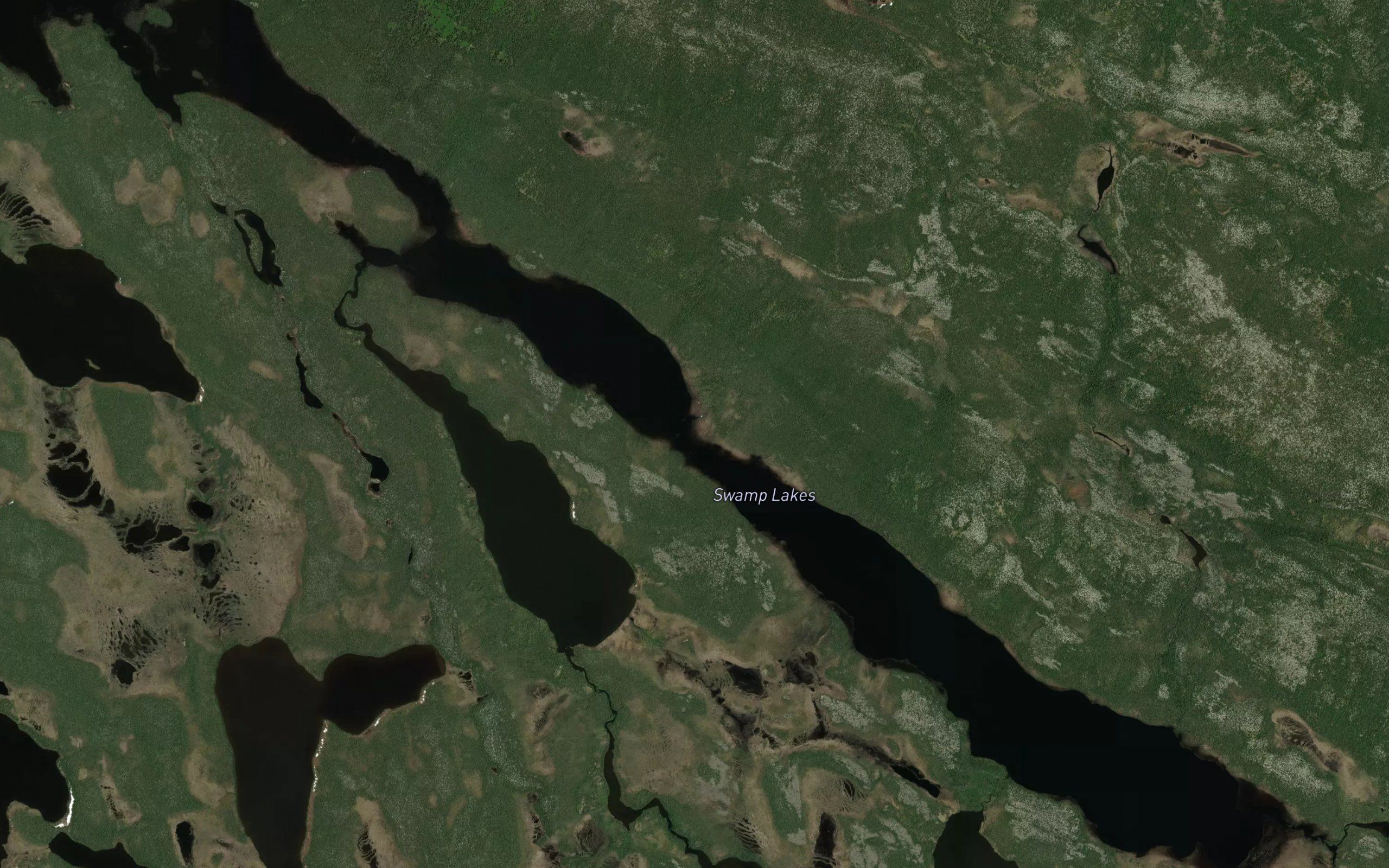 Swamp Lakes