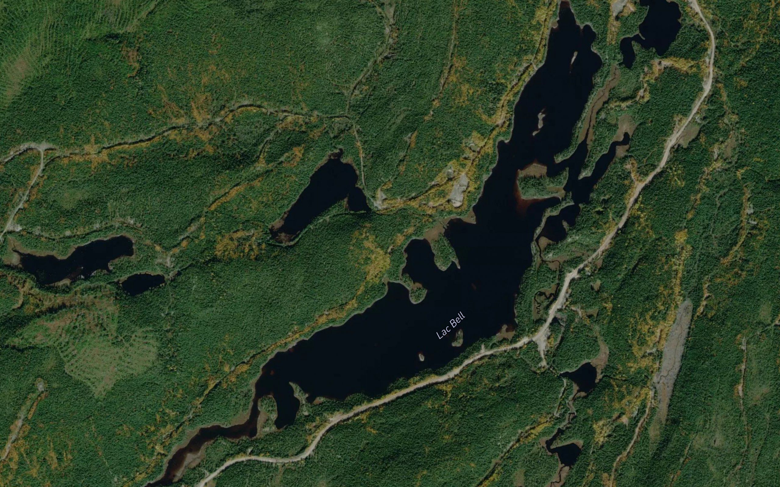 Lac Bell