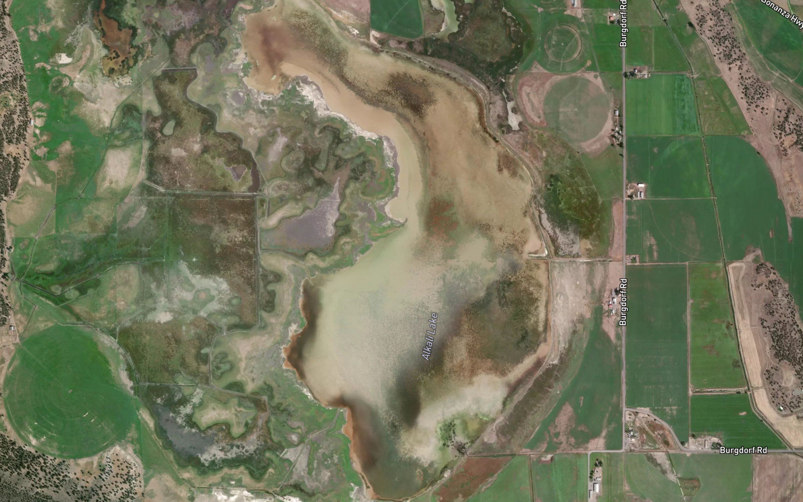 Alkali Lake