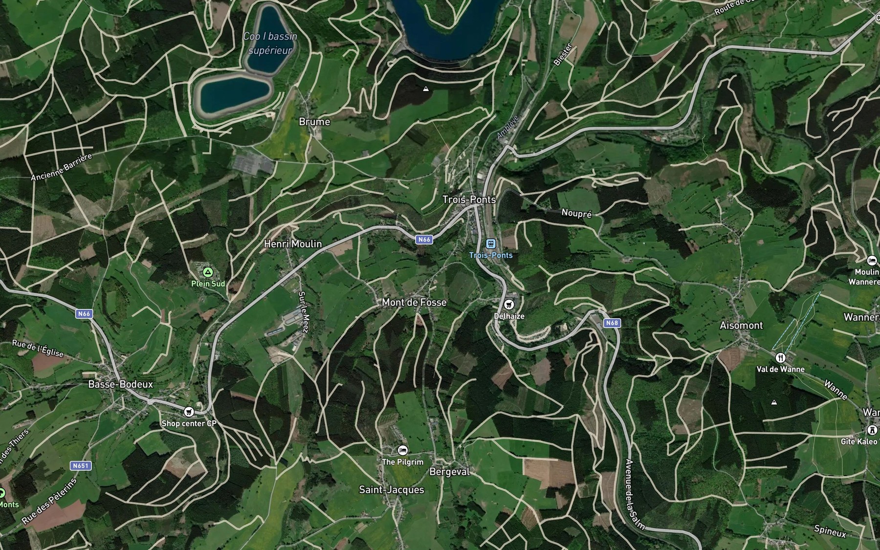 Satellite map of the Salm
