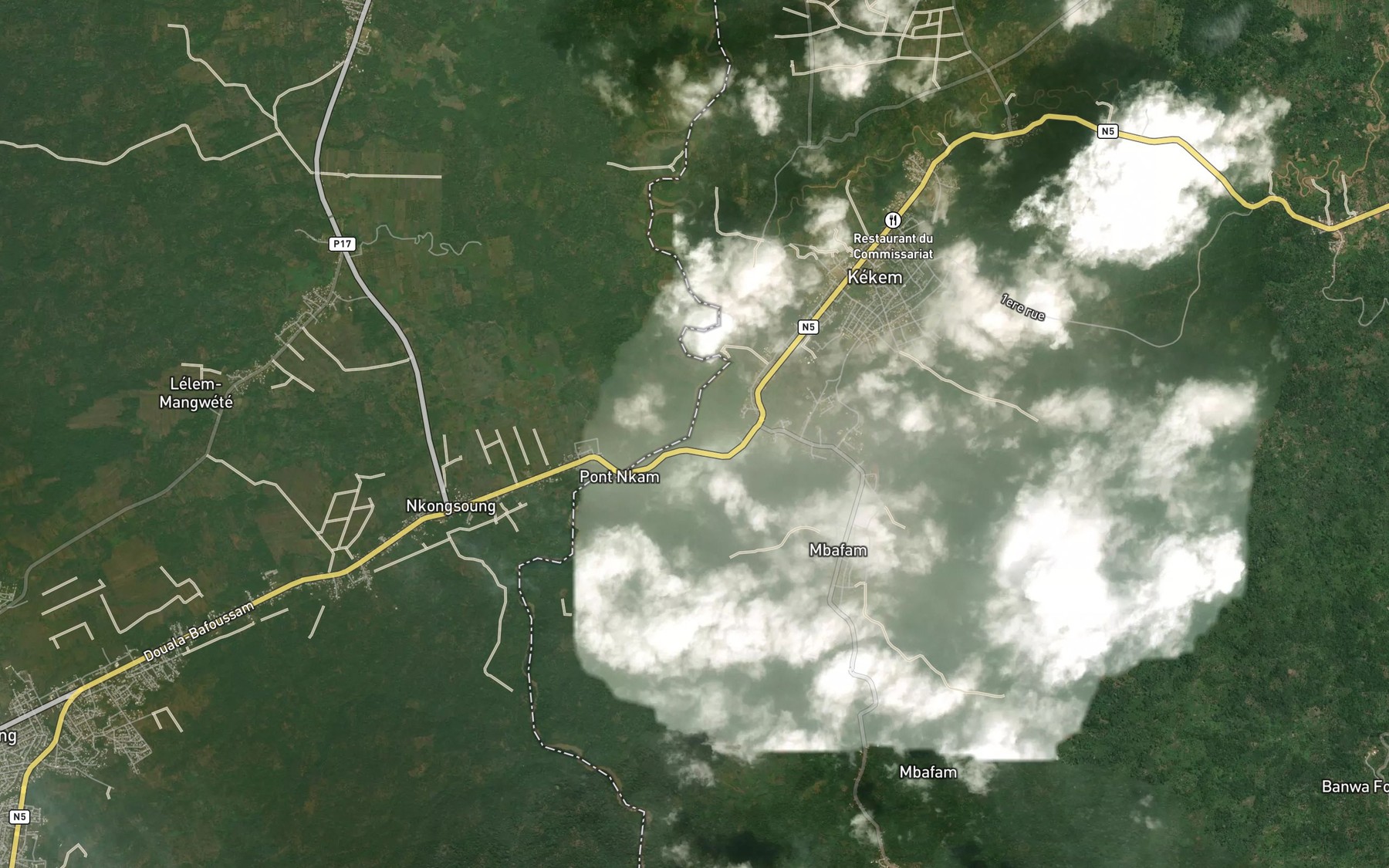 Satellite map of the Petit Nkam
