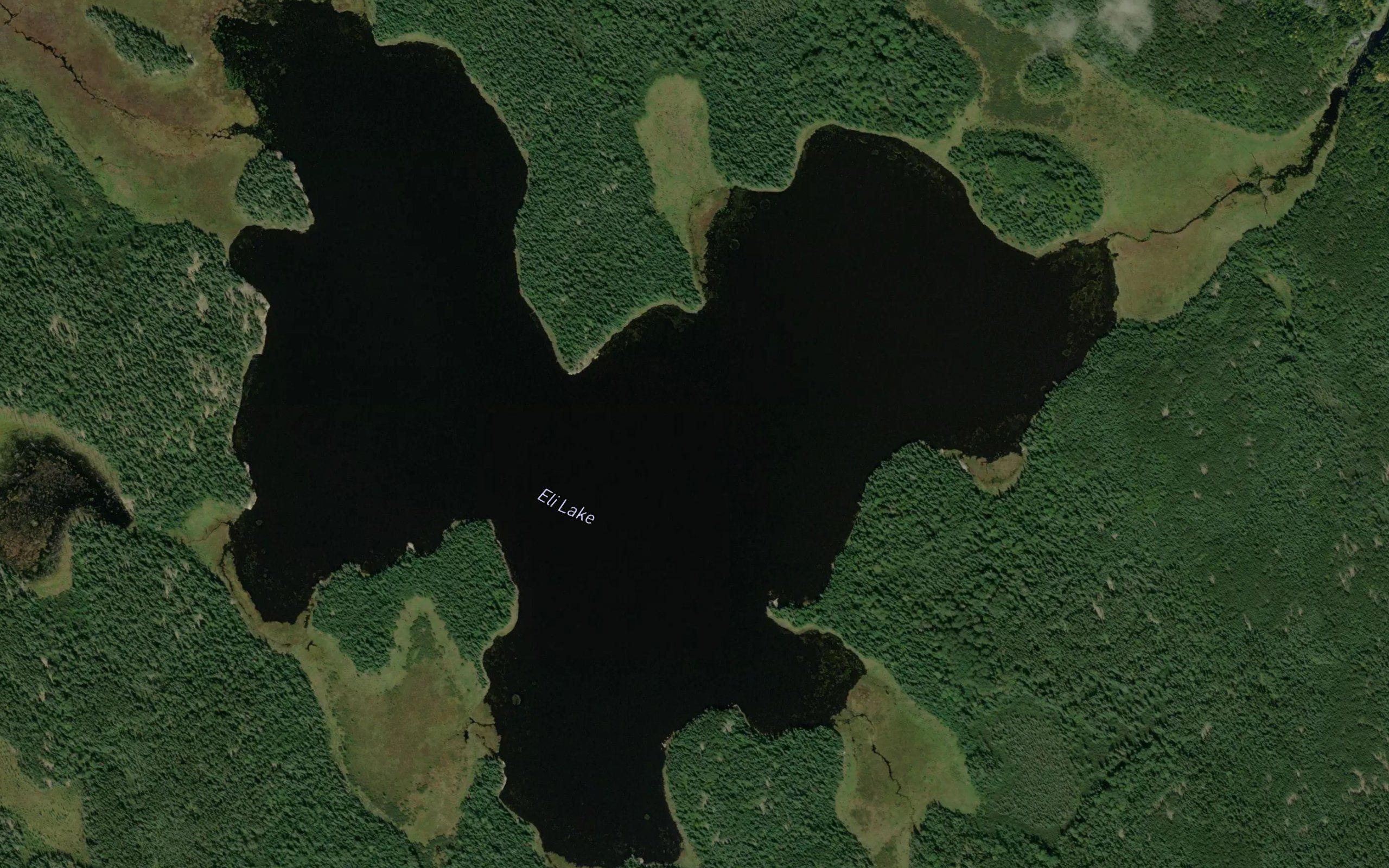 Eli Lake