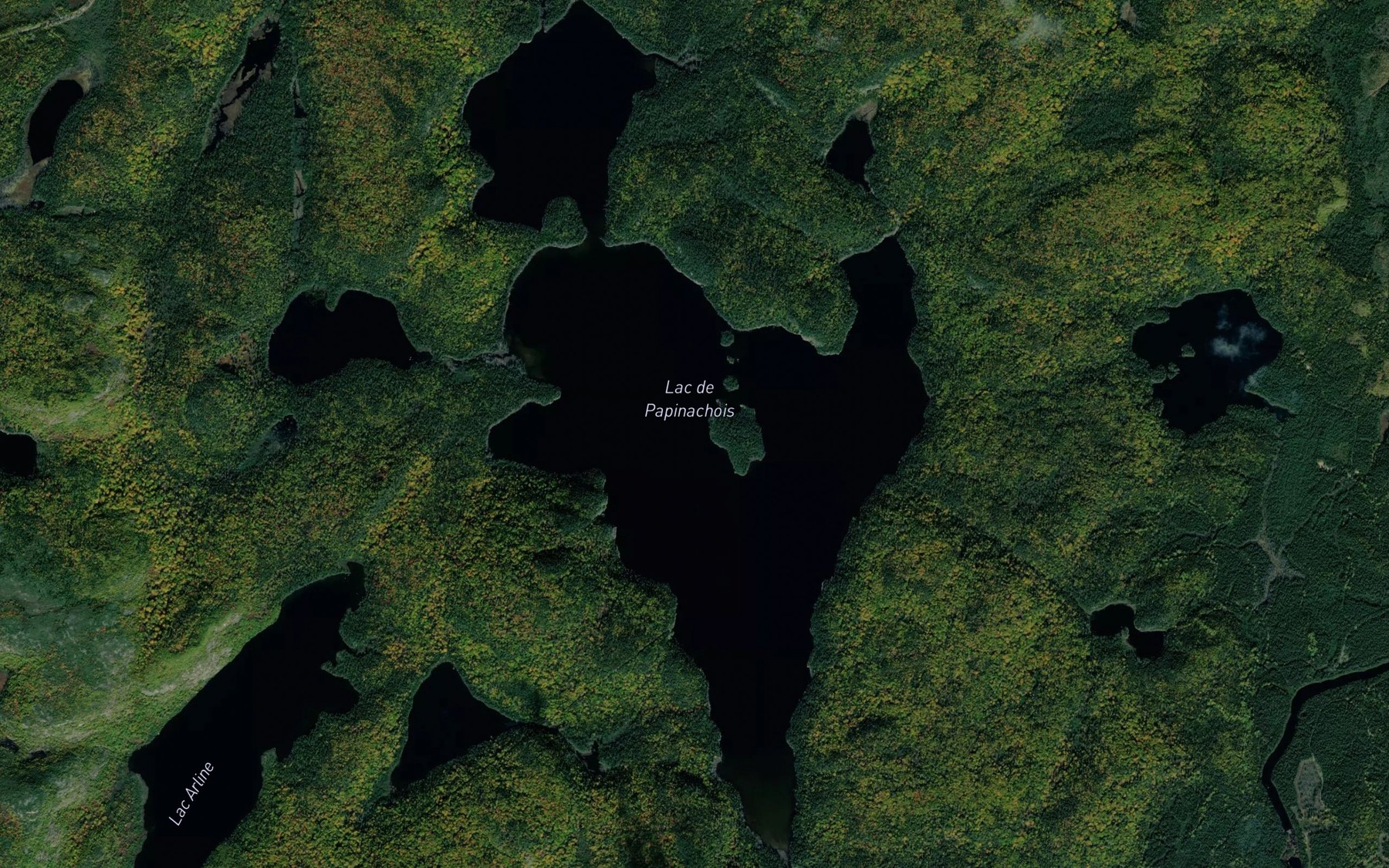 Satellite map of the Lac de Papinachois
