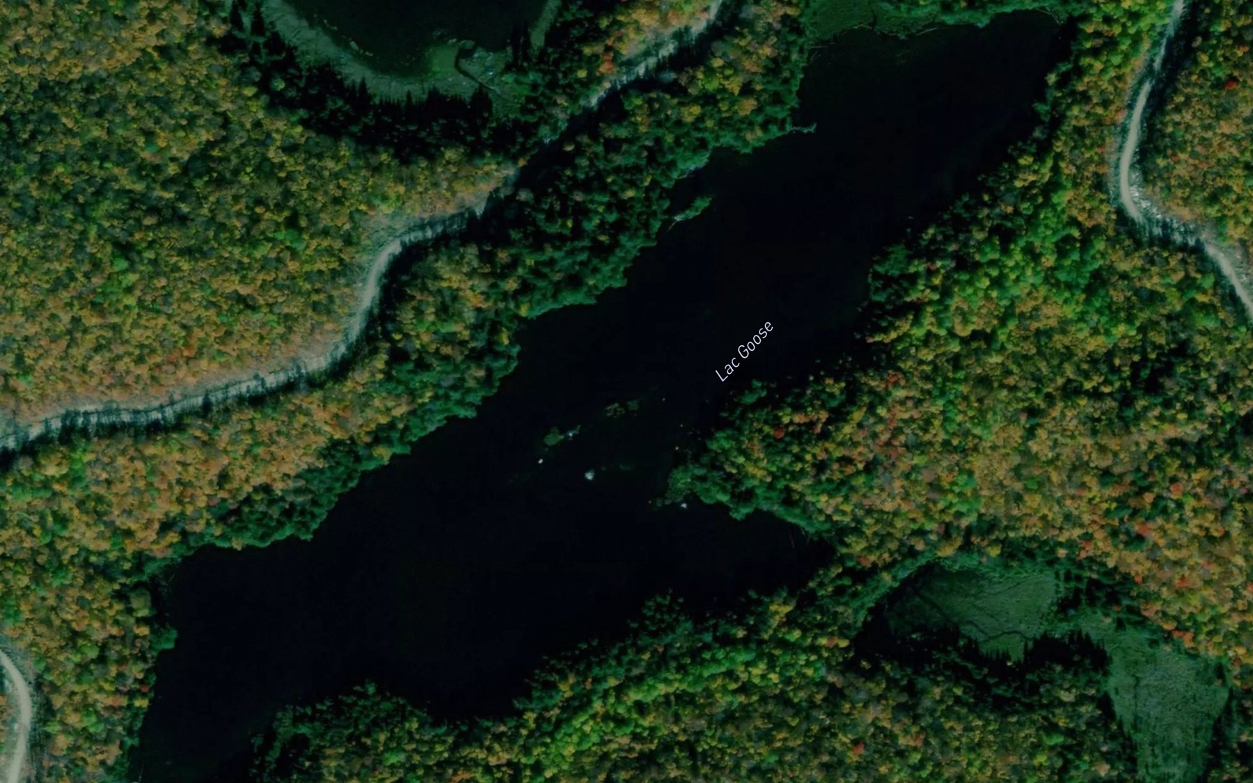 Satellite map of the Lac Goose