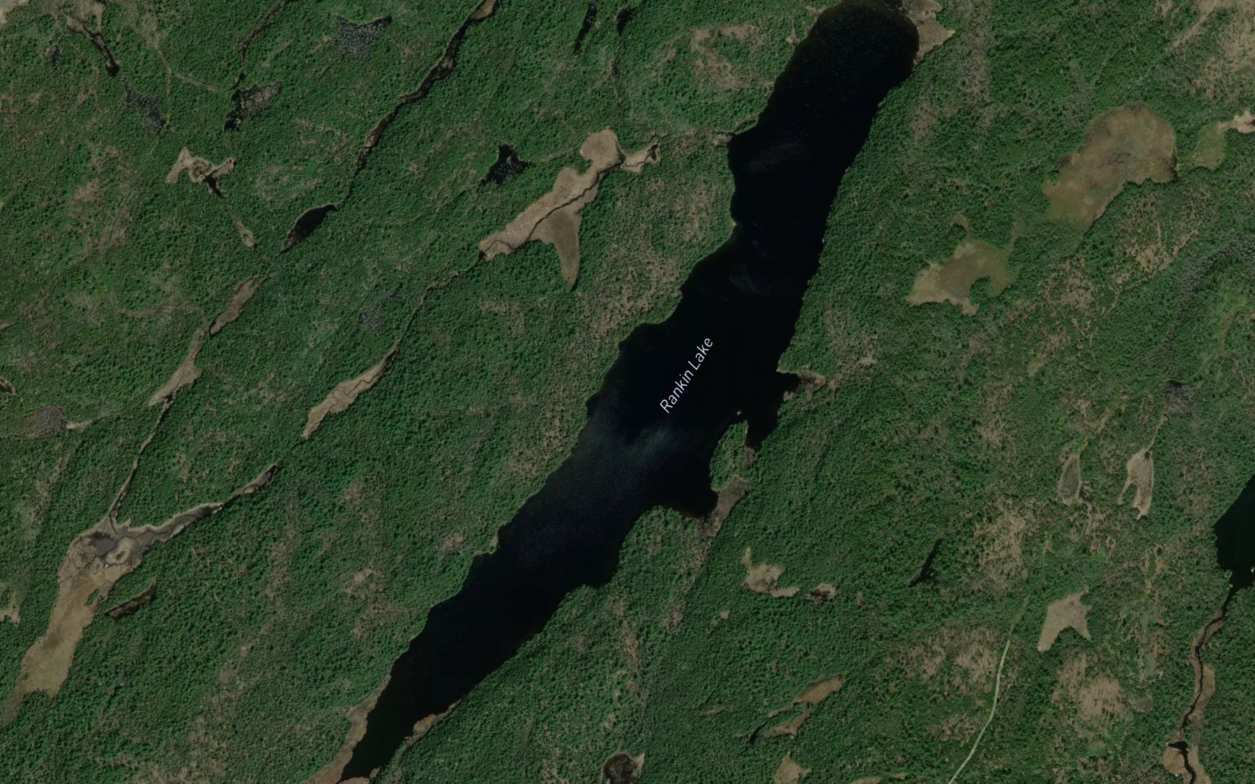 Satellite map of the Rankin Lake