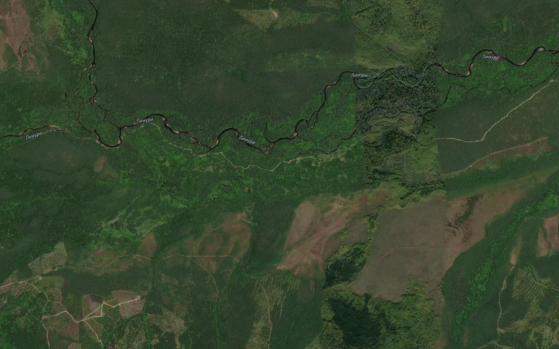 Satellite map of the Gremuchiy