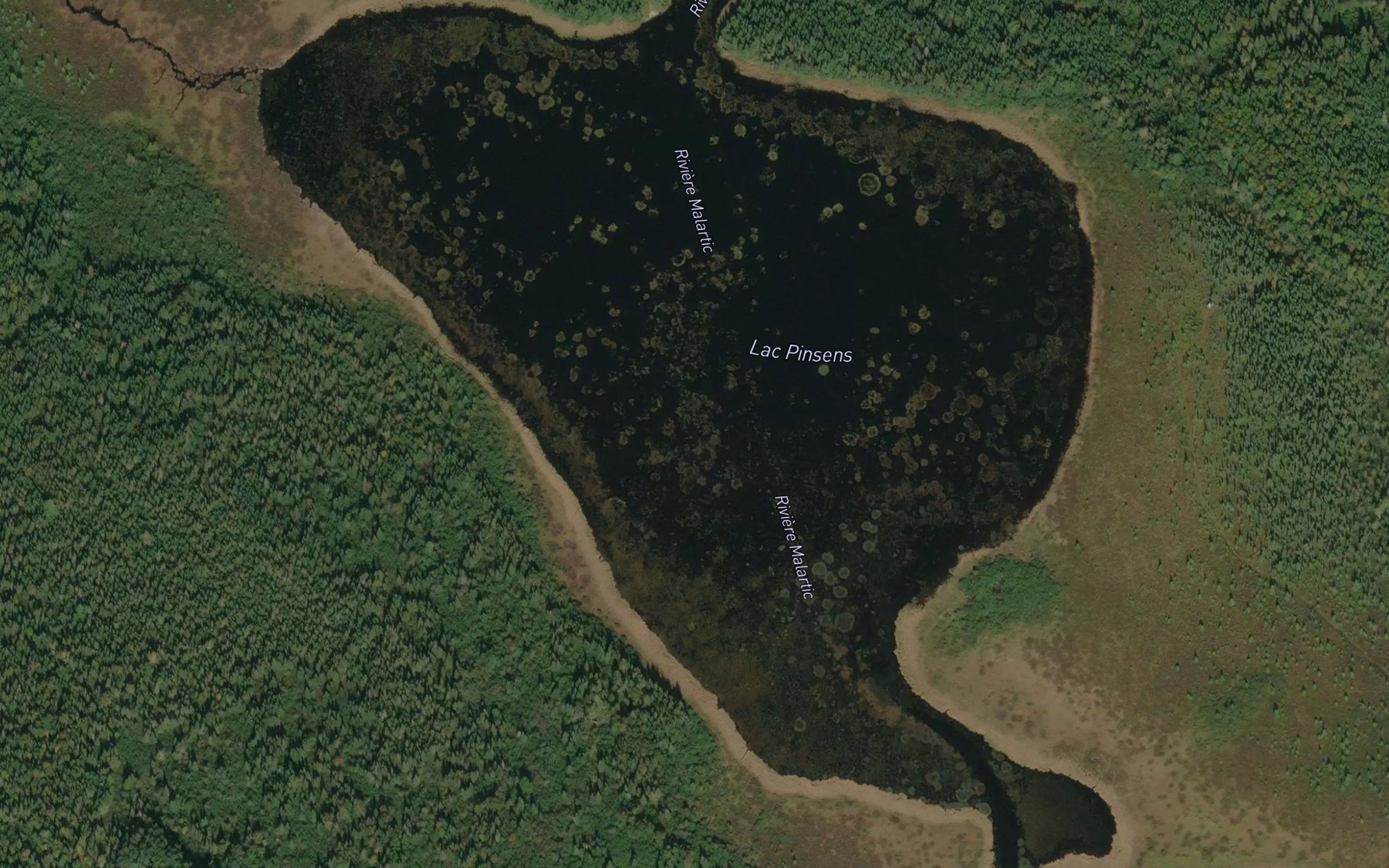 Satellite map of the Lac Pinsens