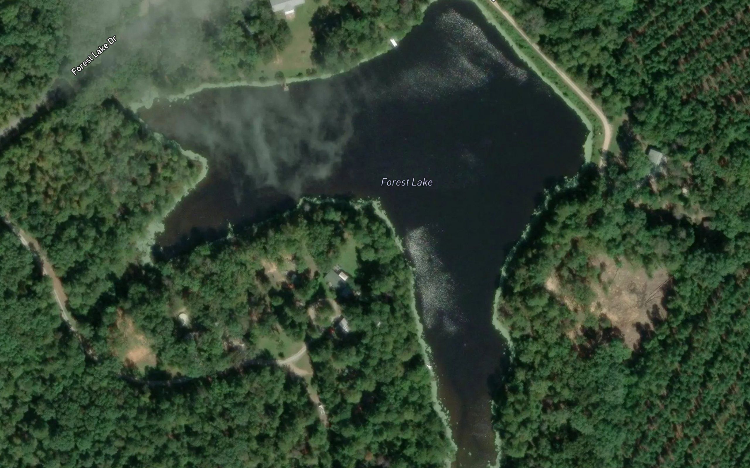 Forest Lake