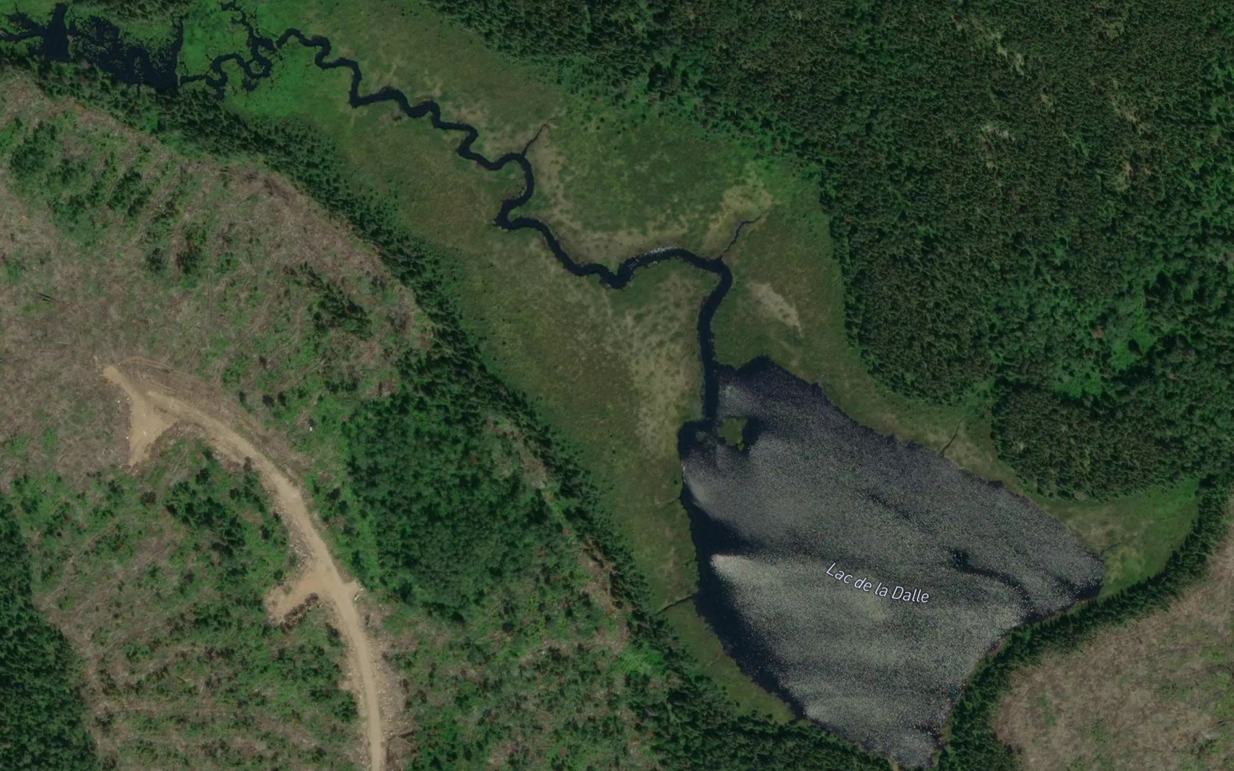 Satellite map of the Lac de la Dalle