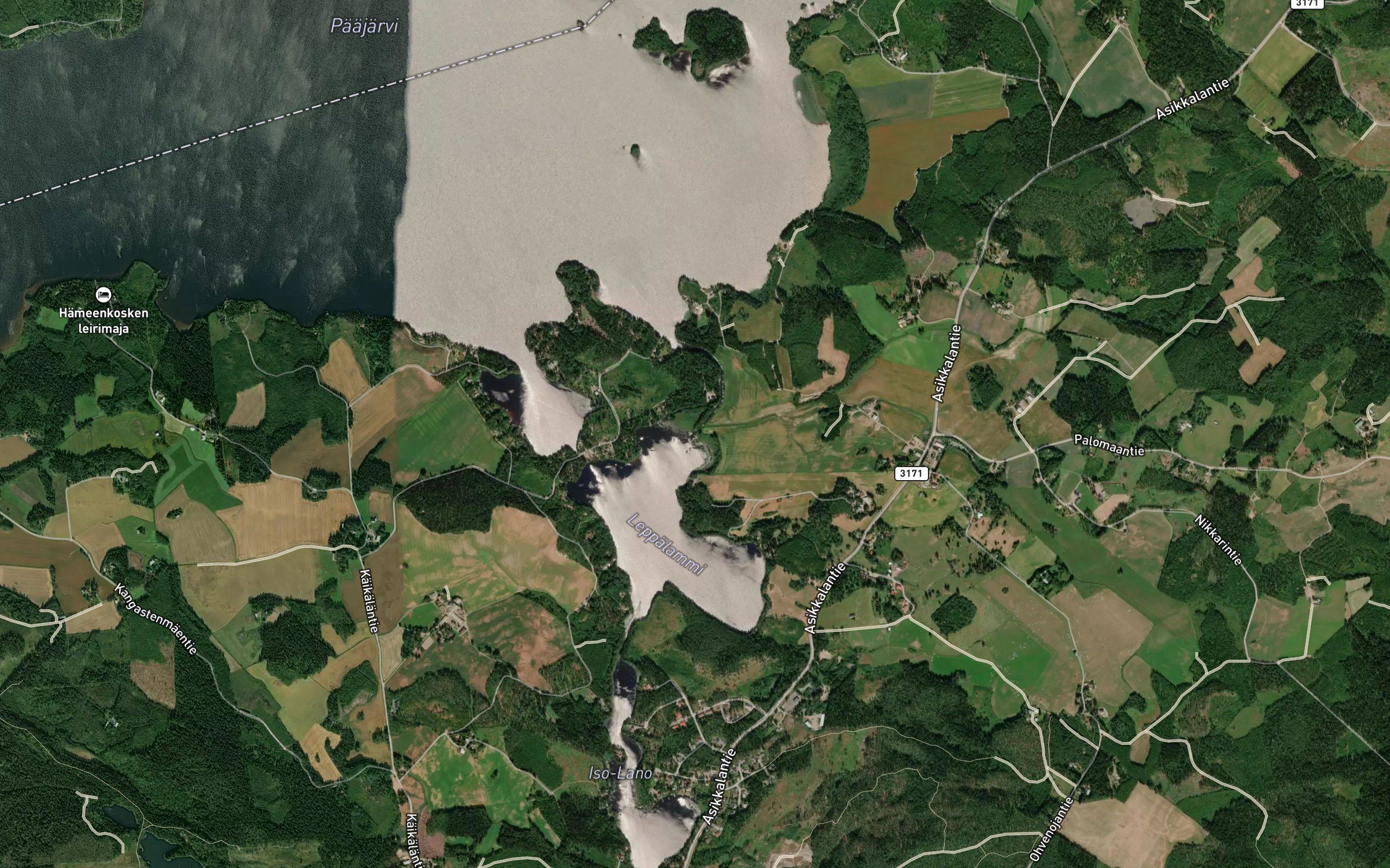 Kotajoki