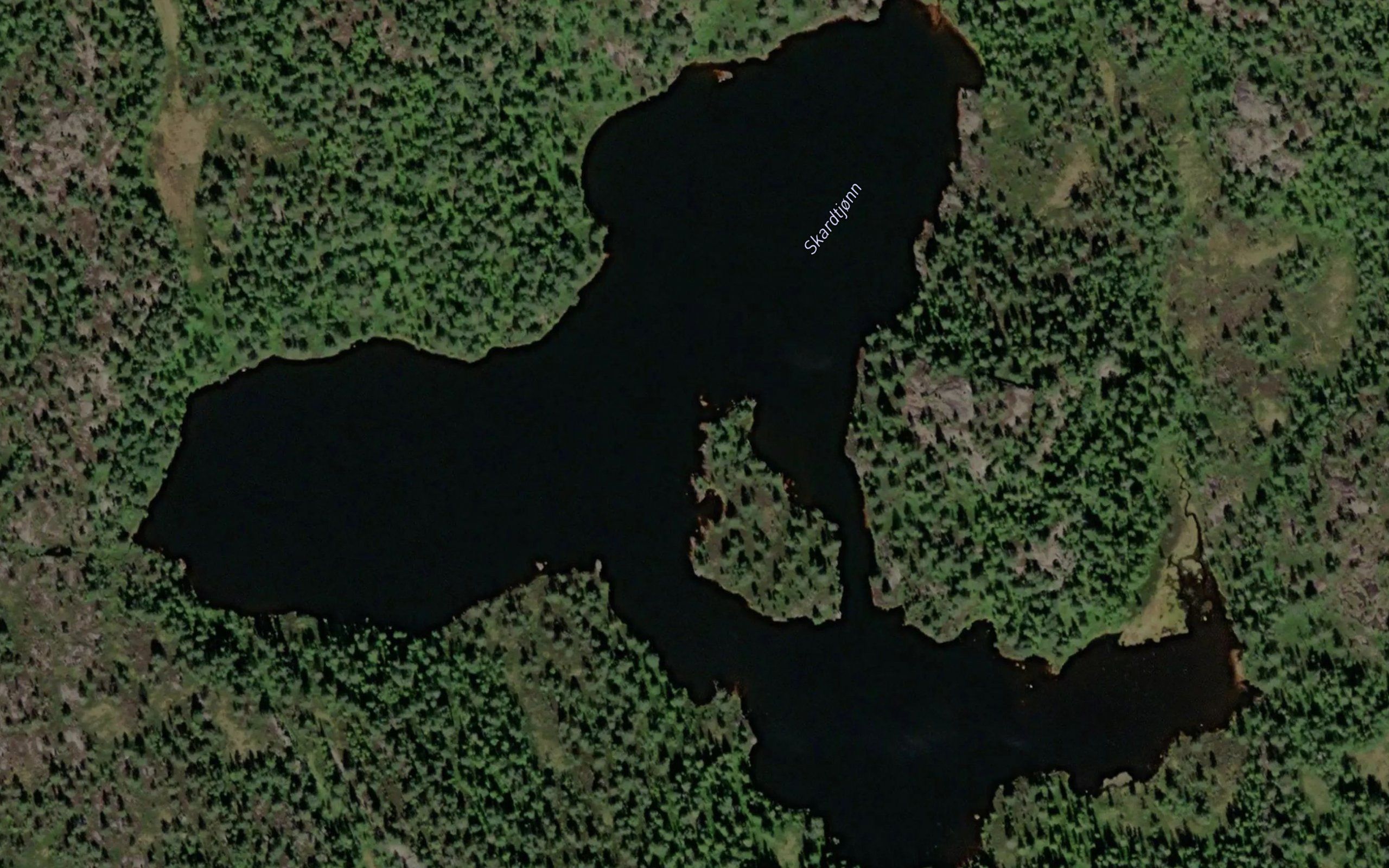 Skardtjorn