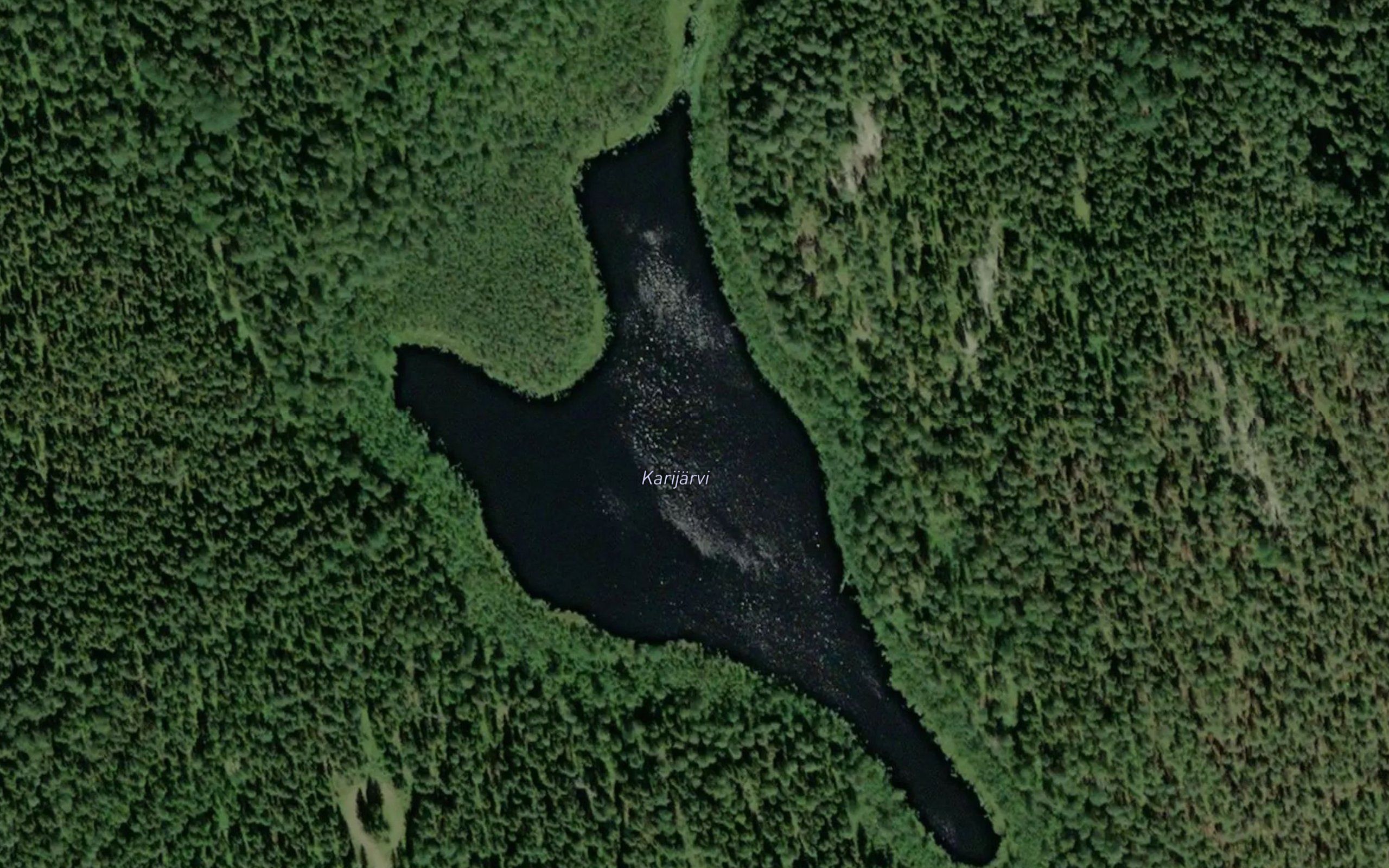Karijarvi