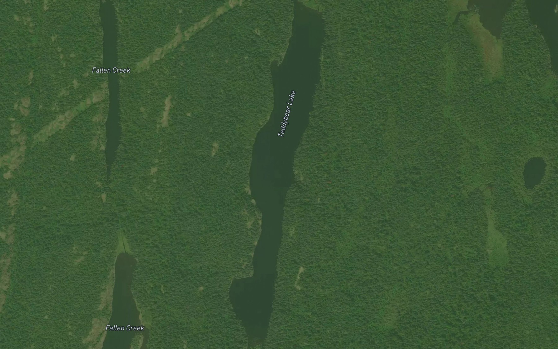Satellite map of the Teddybear Lake