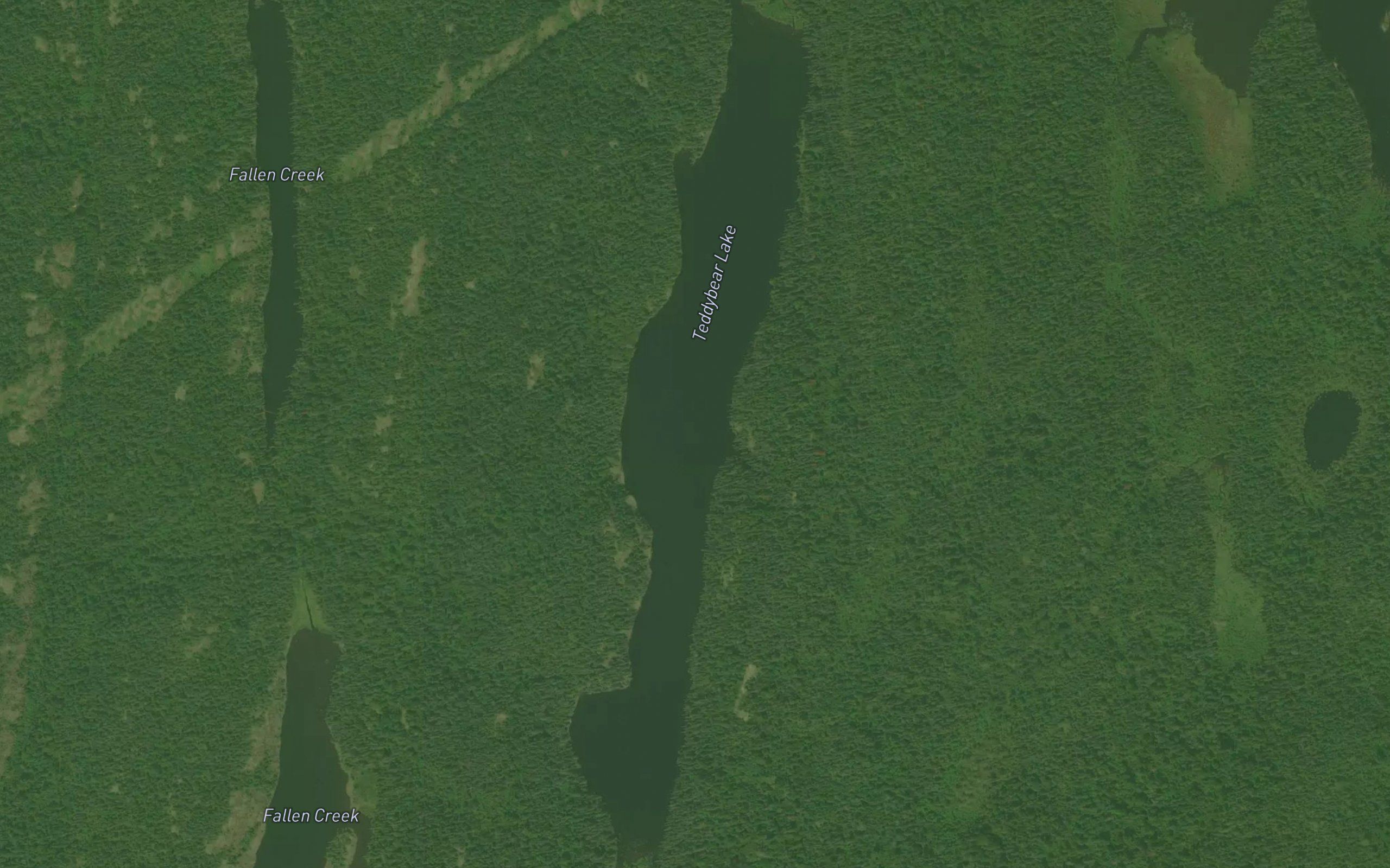 Teddybear Lake