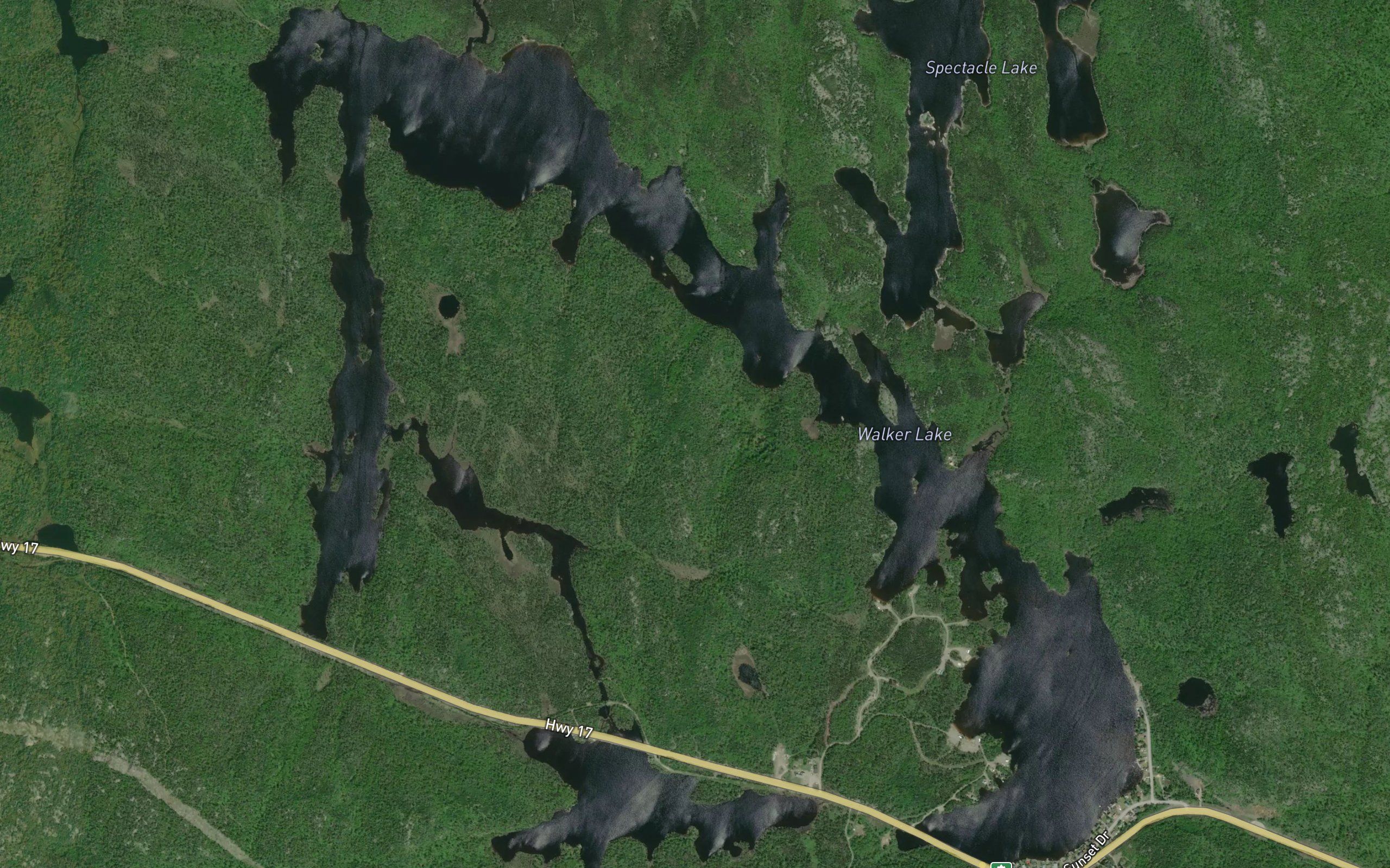 Lily Bay