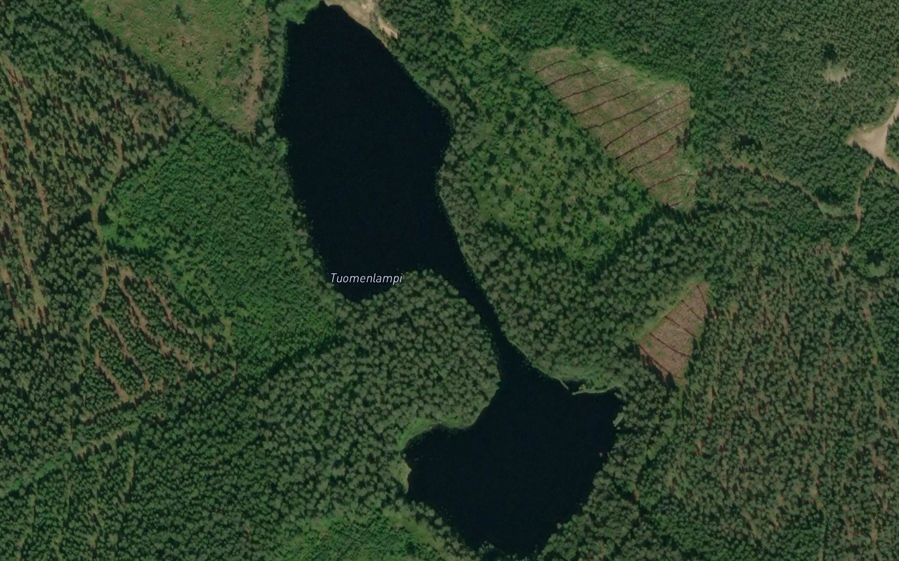 Satellite map of the Tuomenlampi