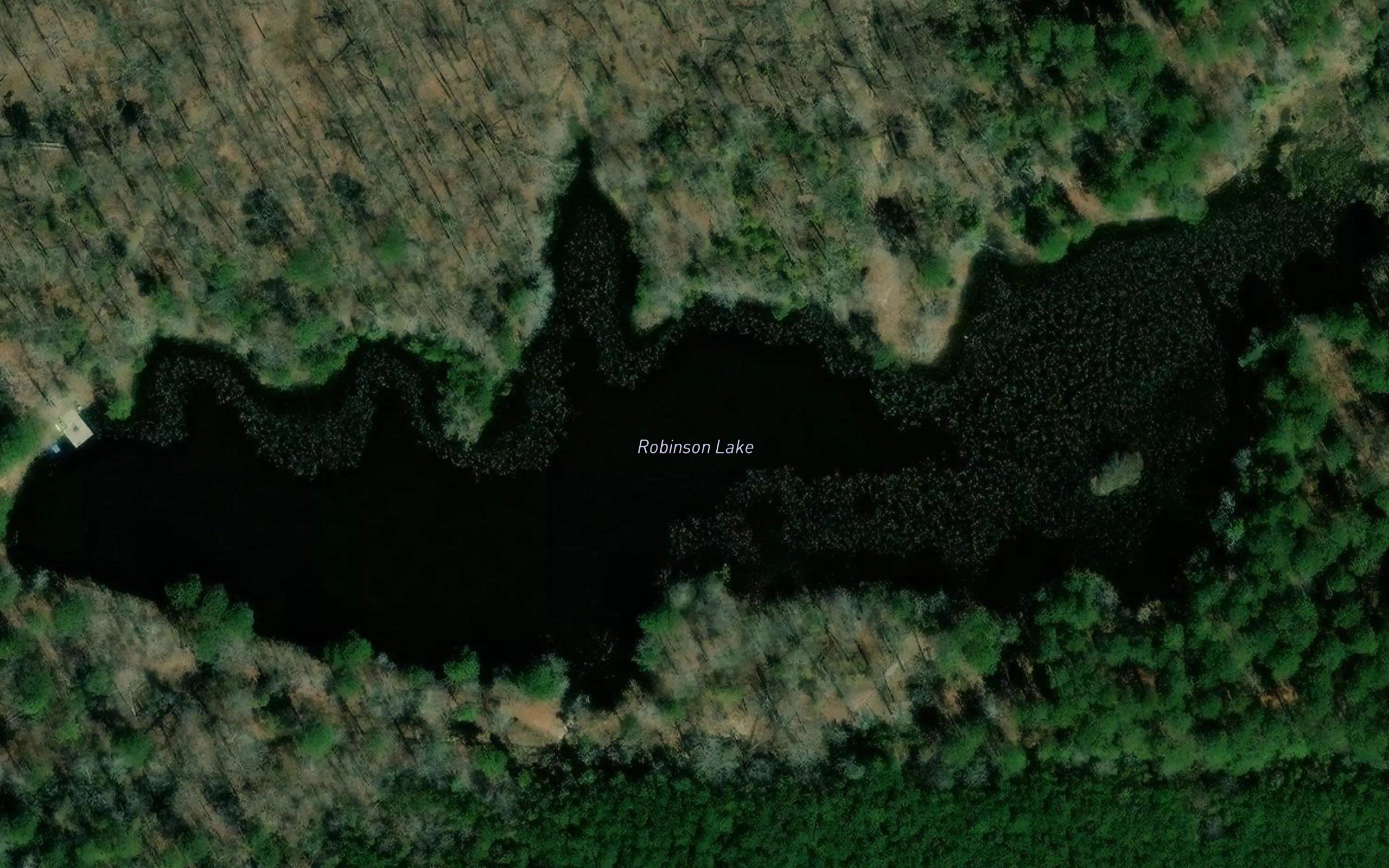 Robinson Lake