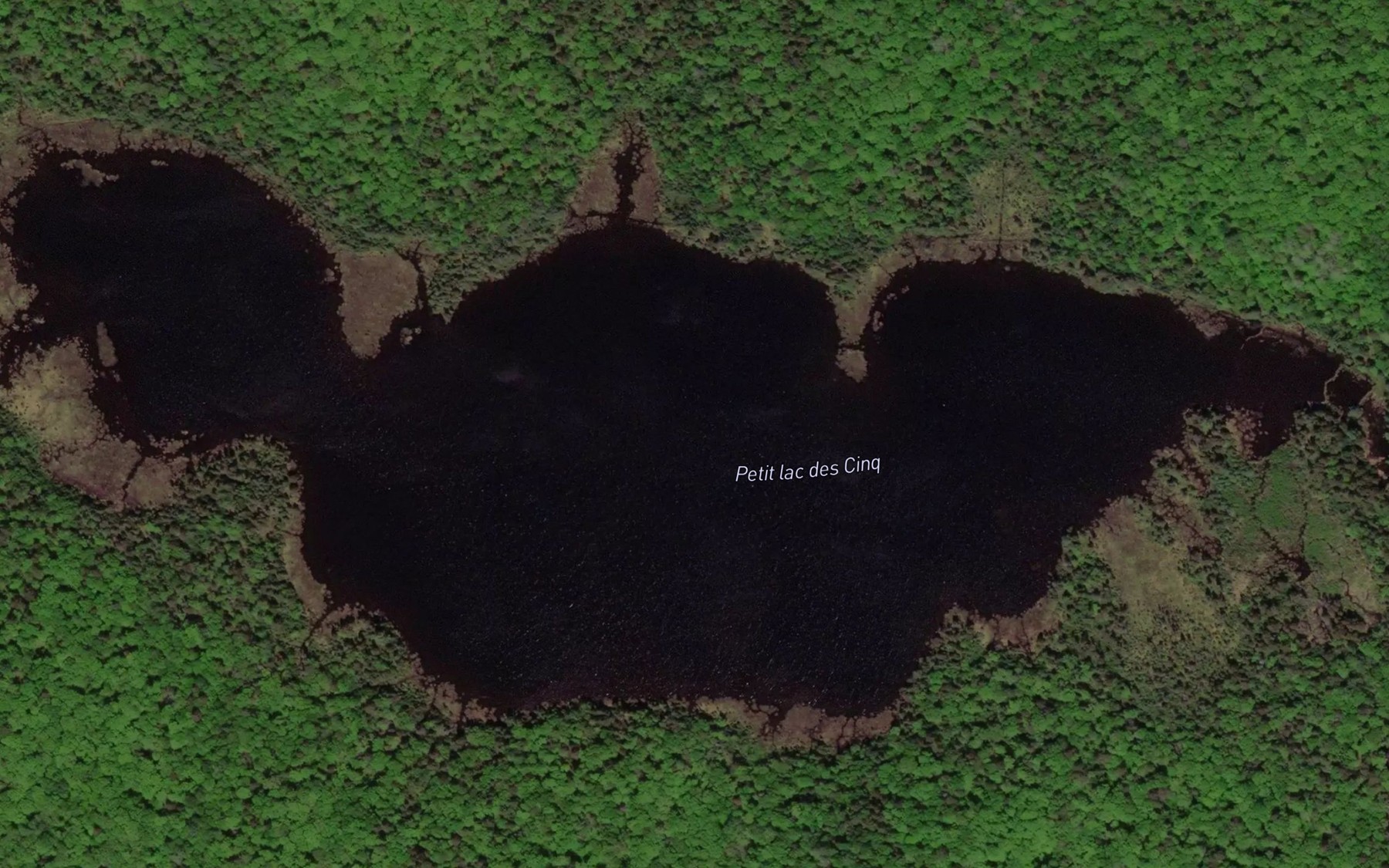 Satellite map of the Petit lac des Cinq
