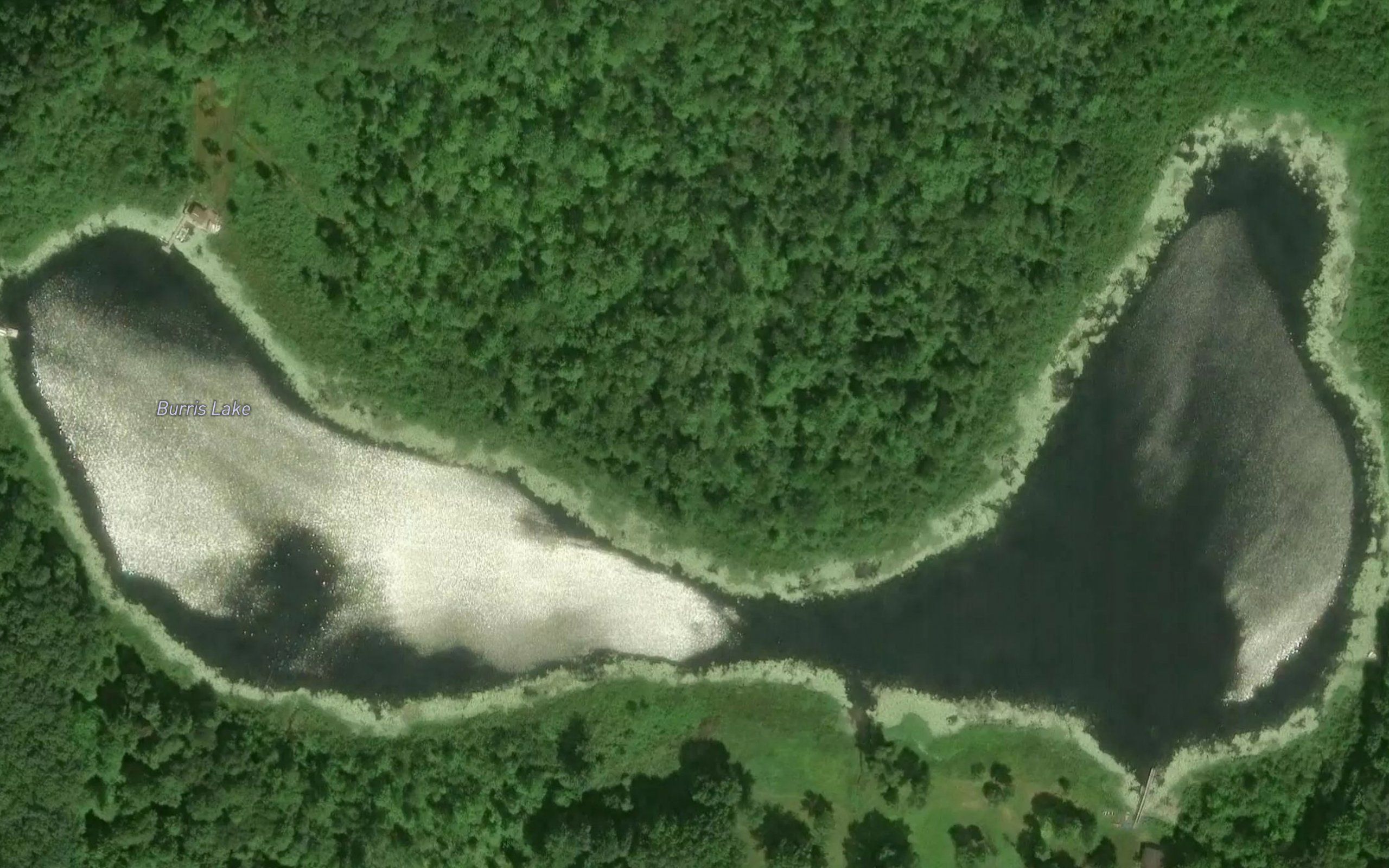 Burris Lake