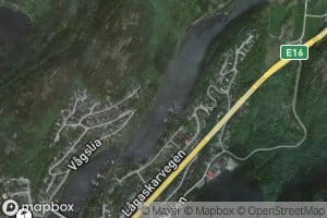 Mjelkevikjae