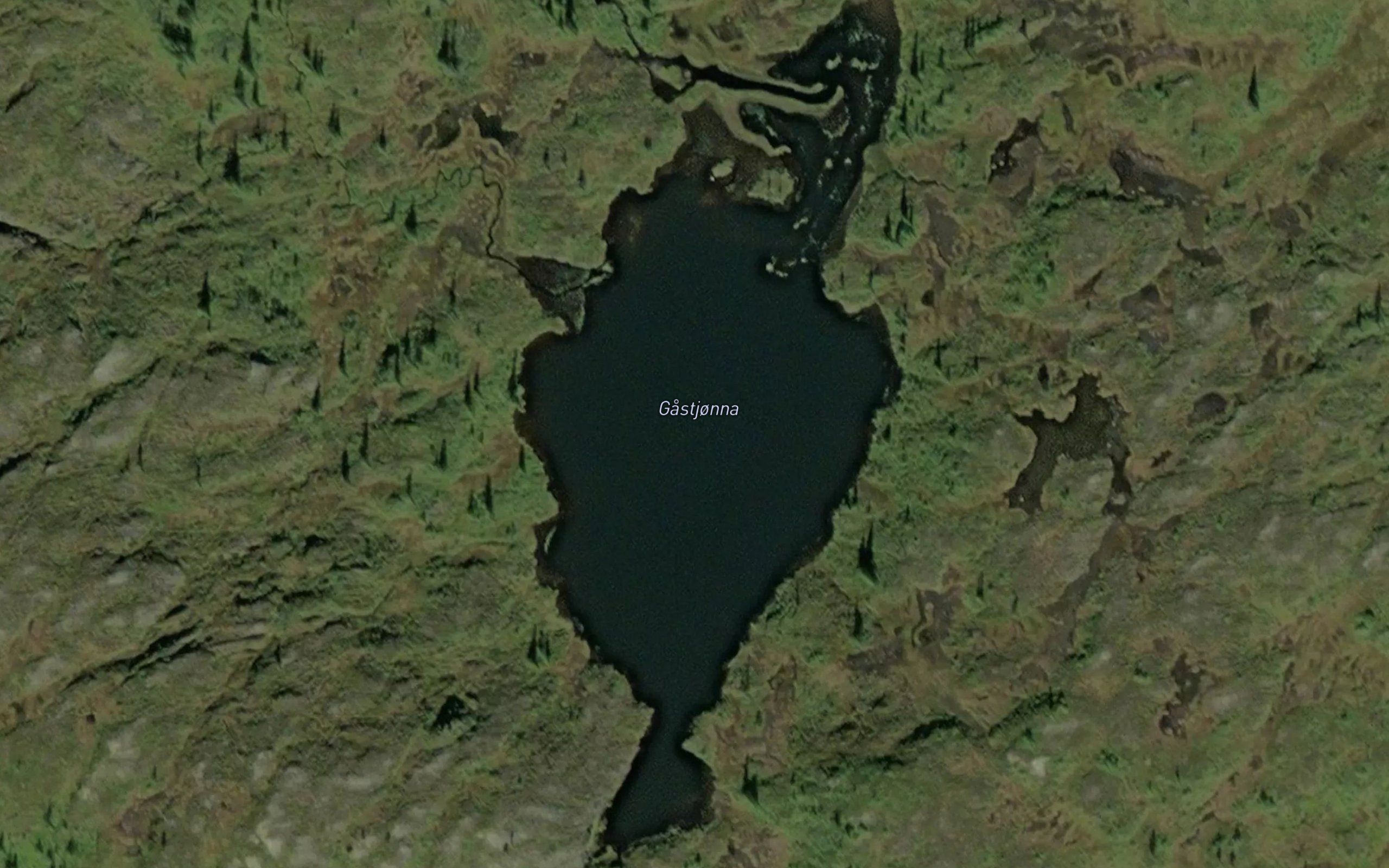 Gastjorna