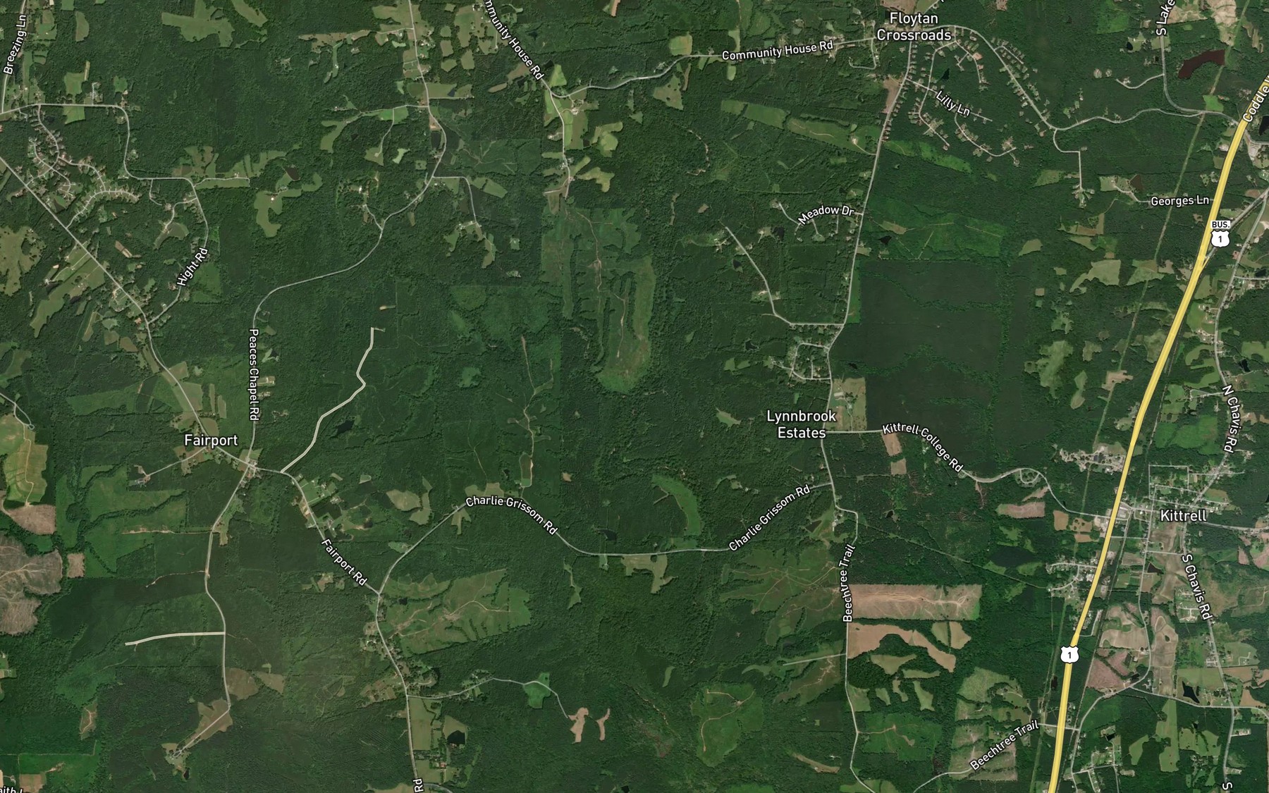 Satellite map of the Ruin Creek