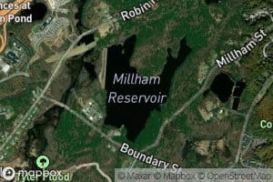 Millham Reservoir