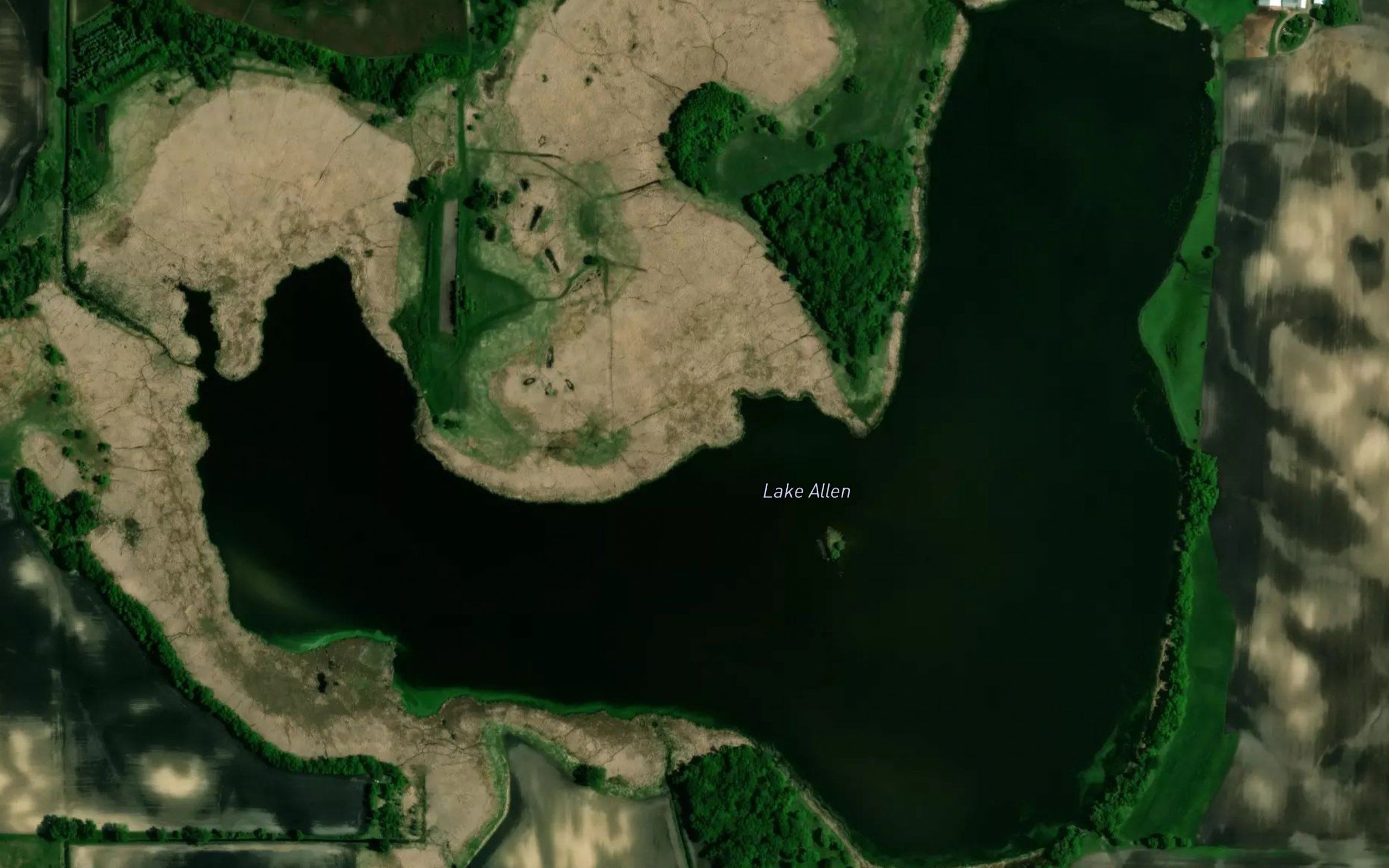 Lake Allen