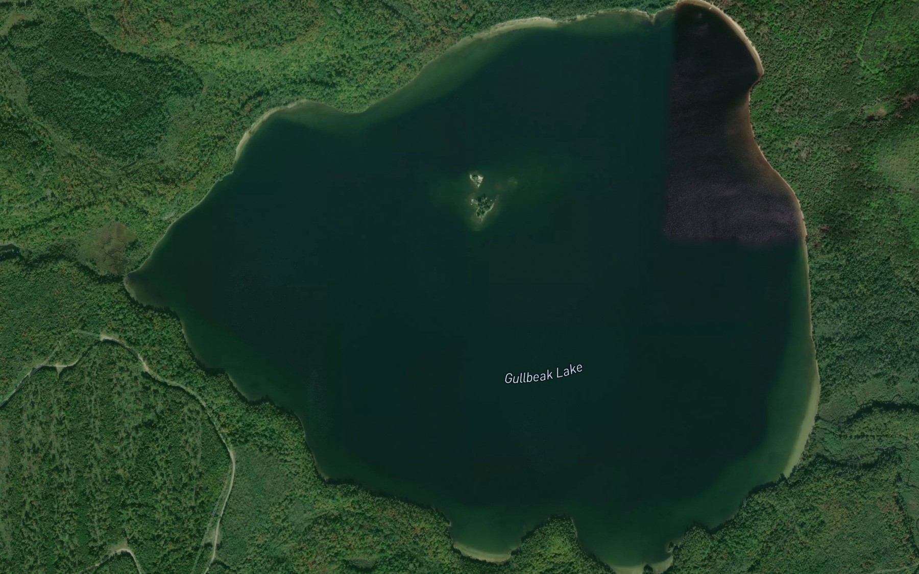 Satellite map of the Gullbeak Lake