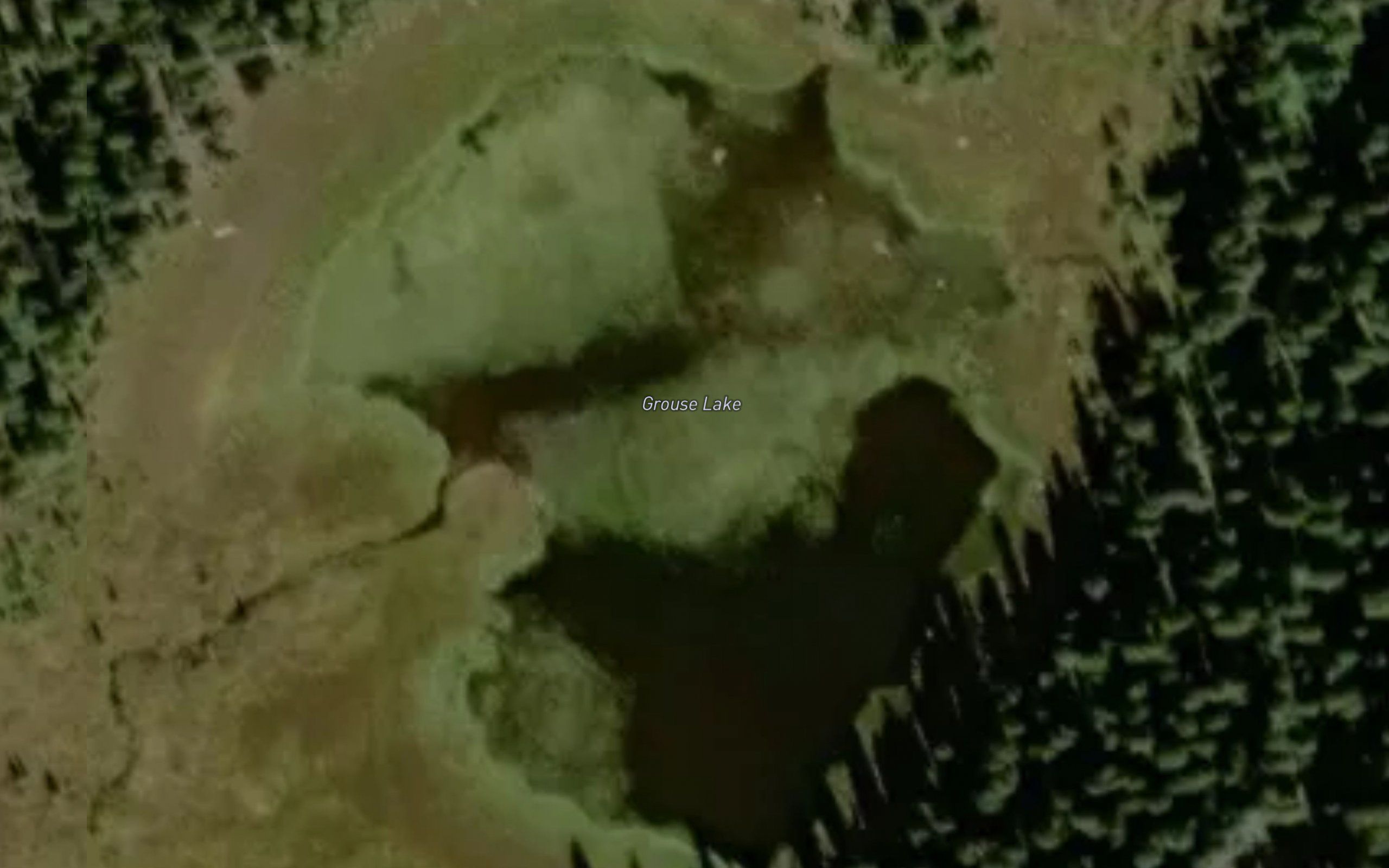 Grouse Lake