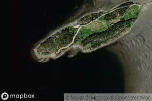 Kuppulbukta