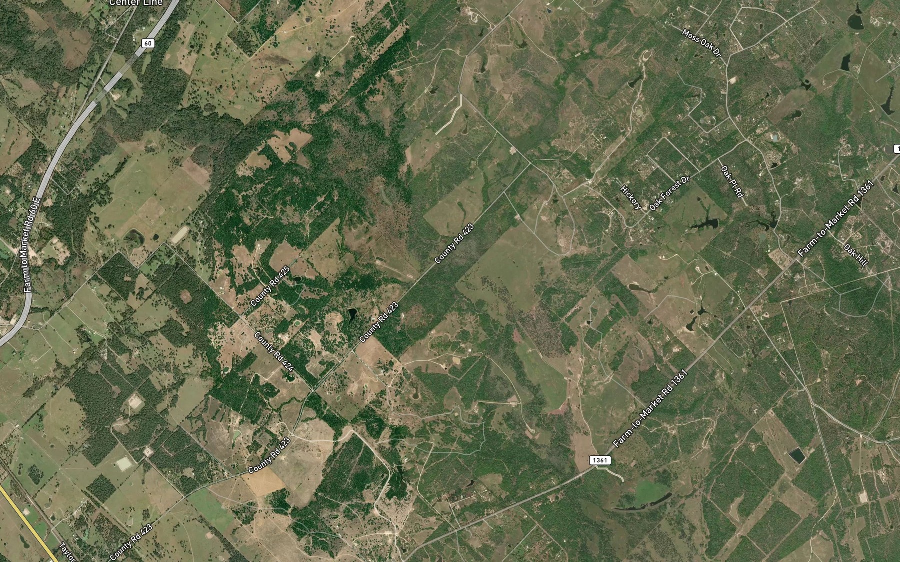 Satellite map of the Bare Branch