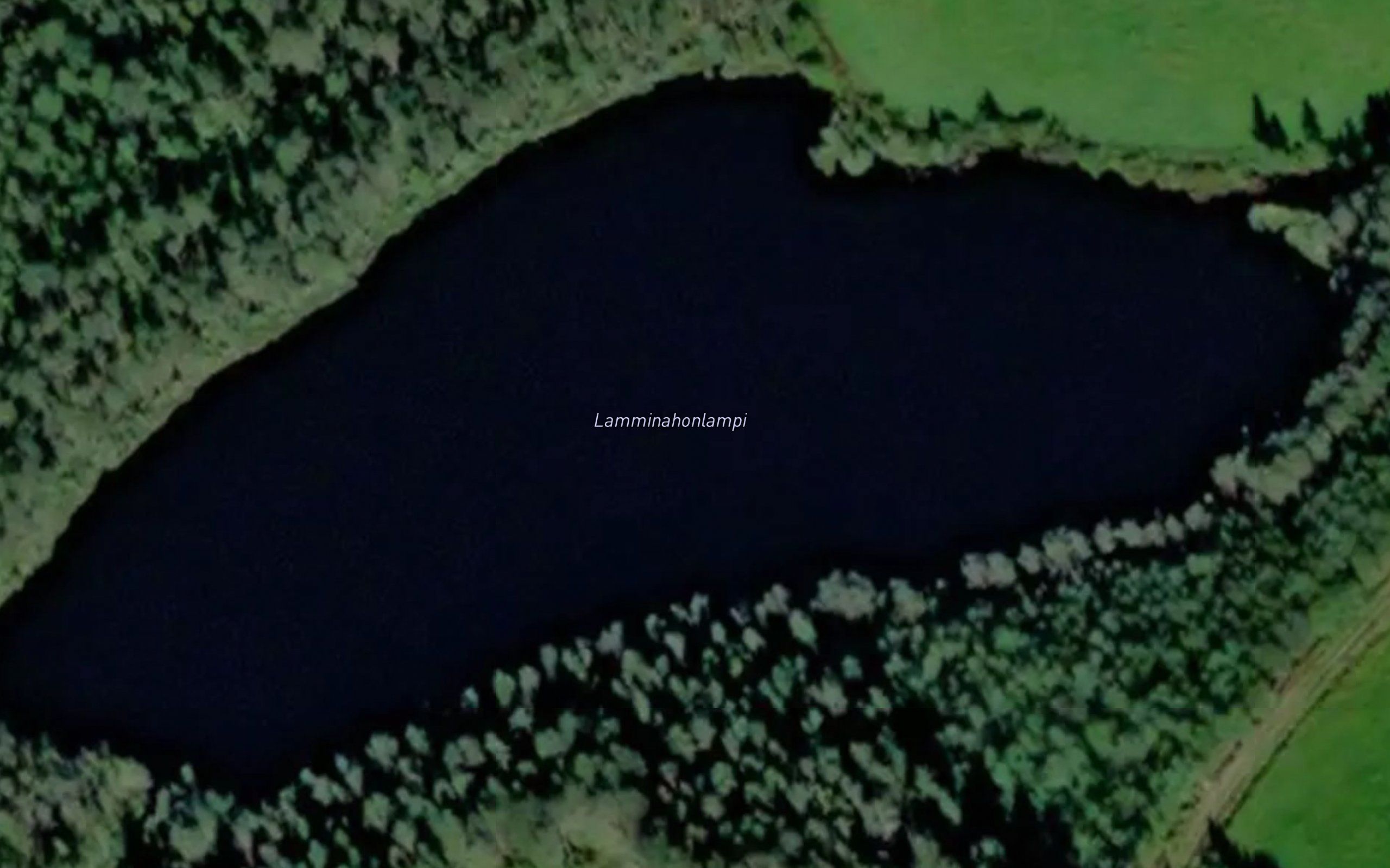 Lamminahonlampi