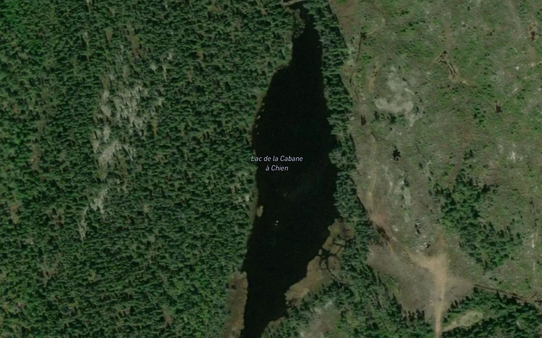 Satellite map of the Lac de la Cabane a Chien