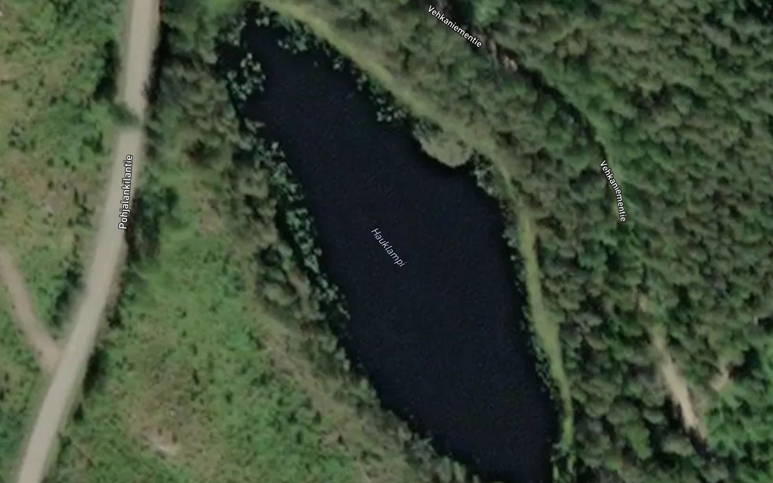 Hauklampi