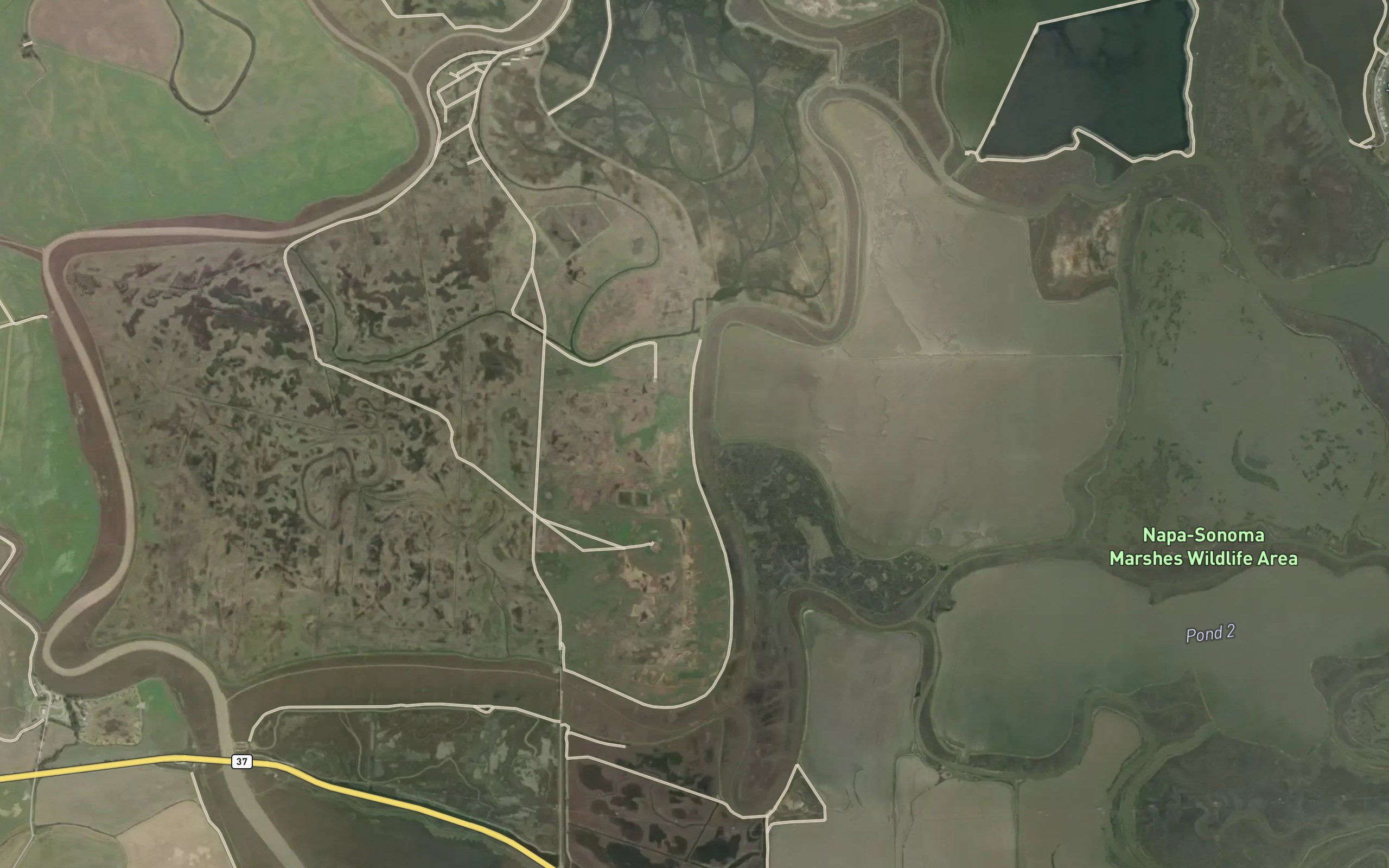 Napa Slough