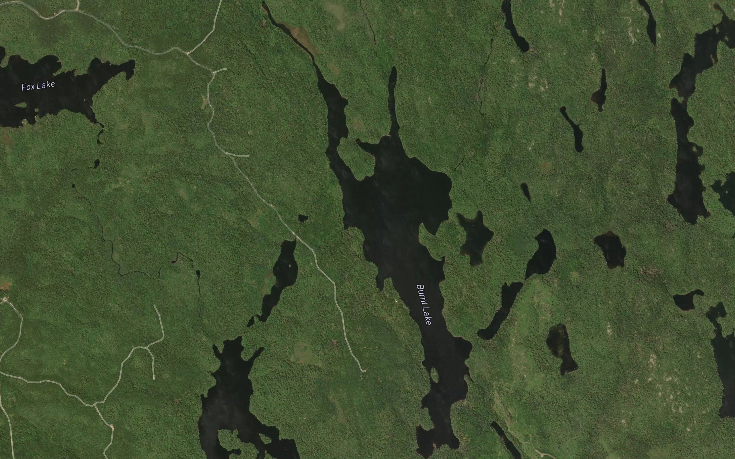 Burnt Lake