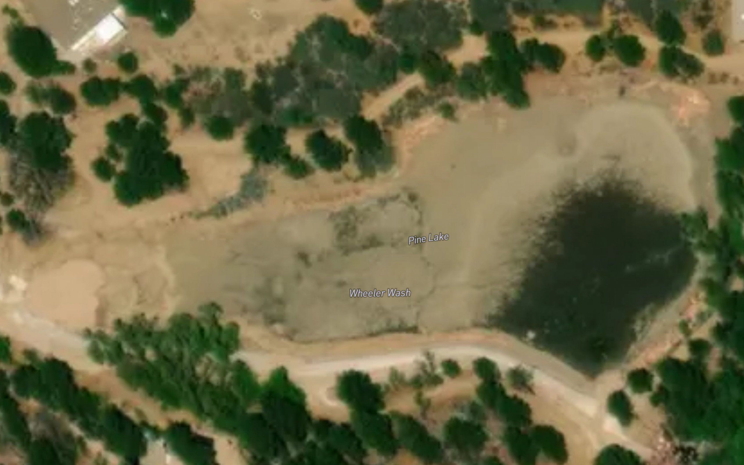 Pine Lake