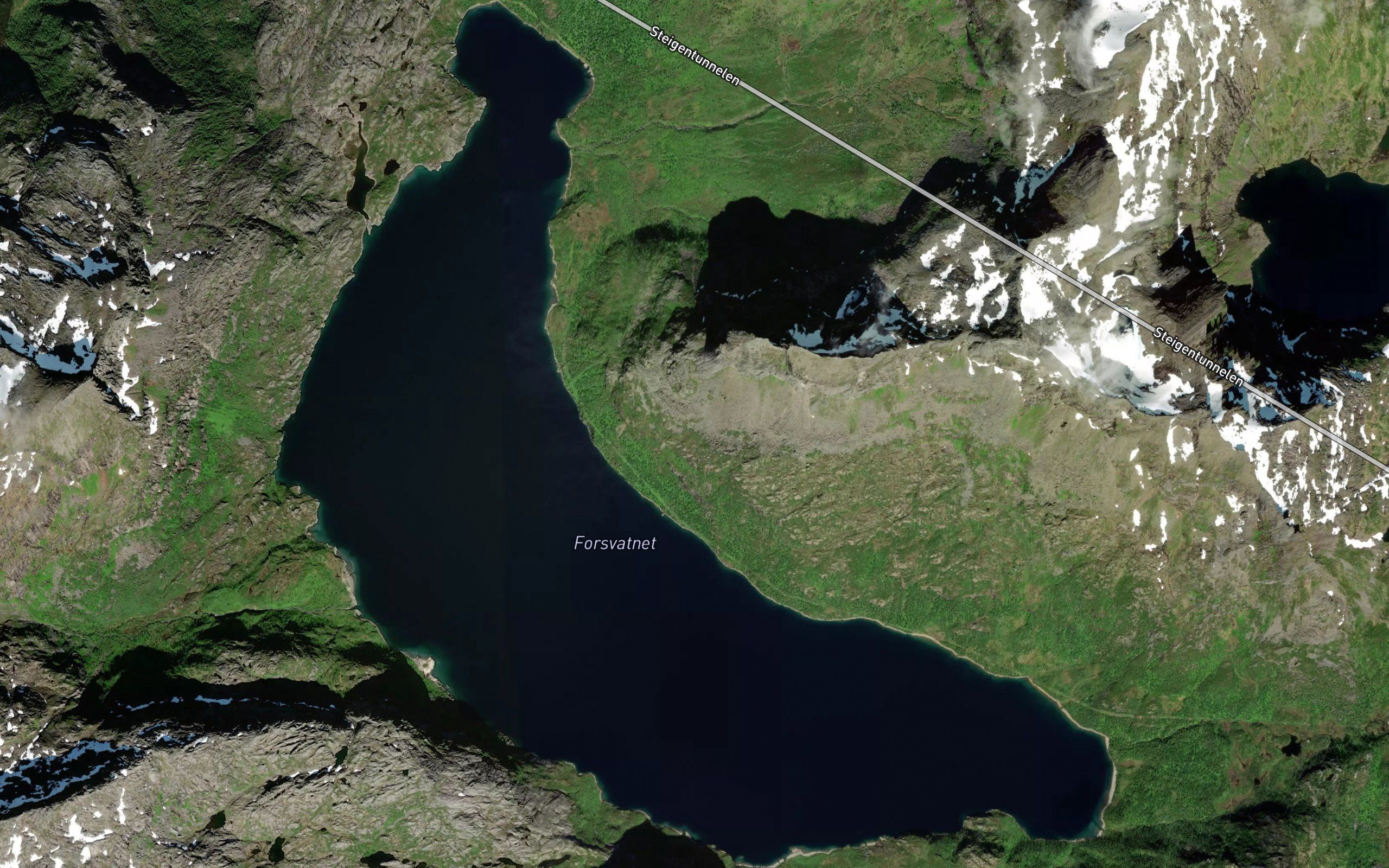 Forsanvatnet