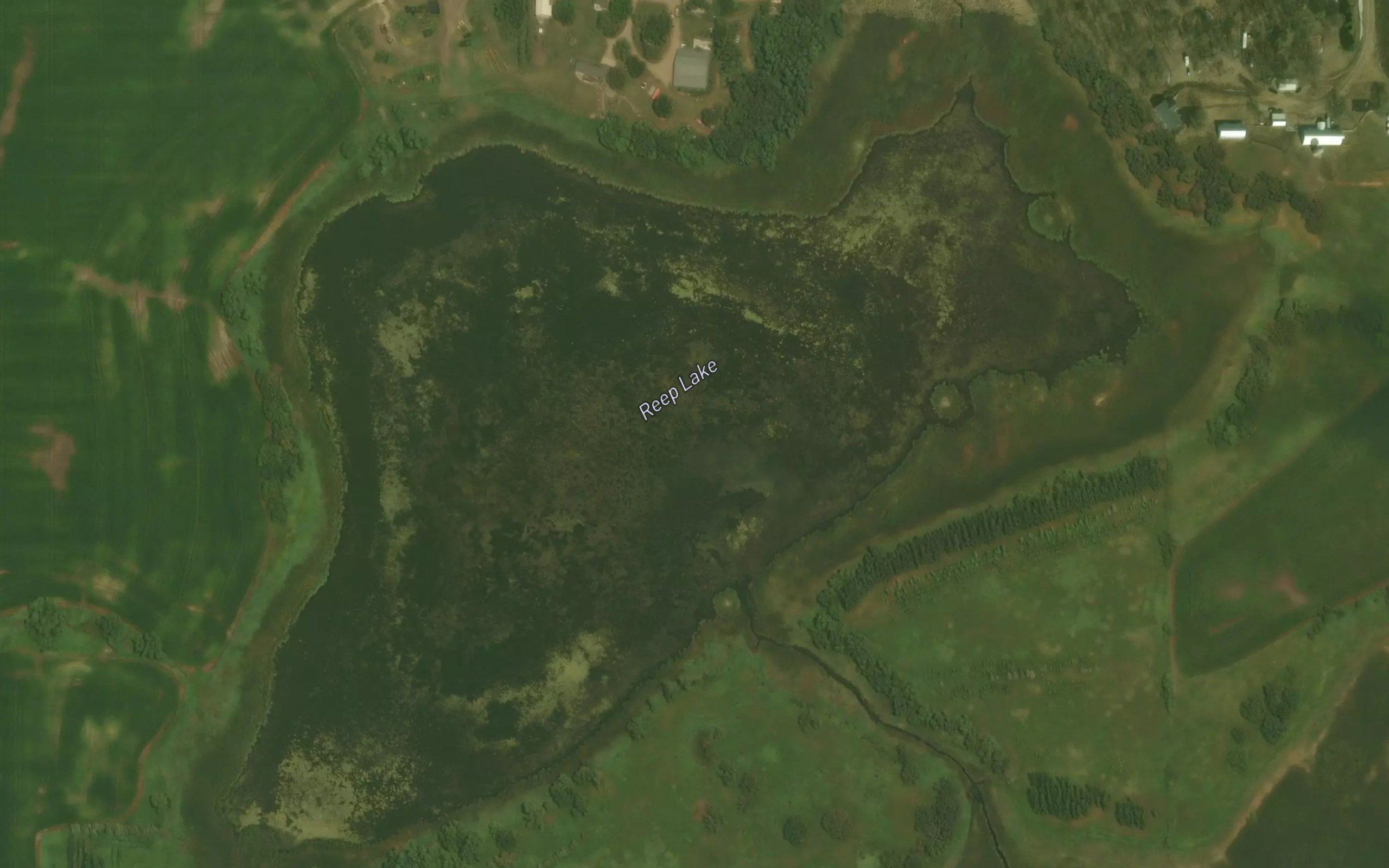 Reep Lake