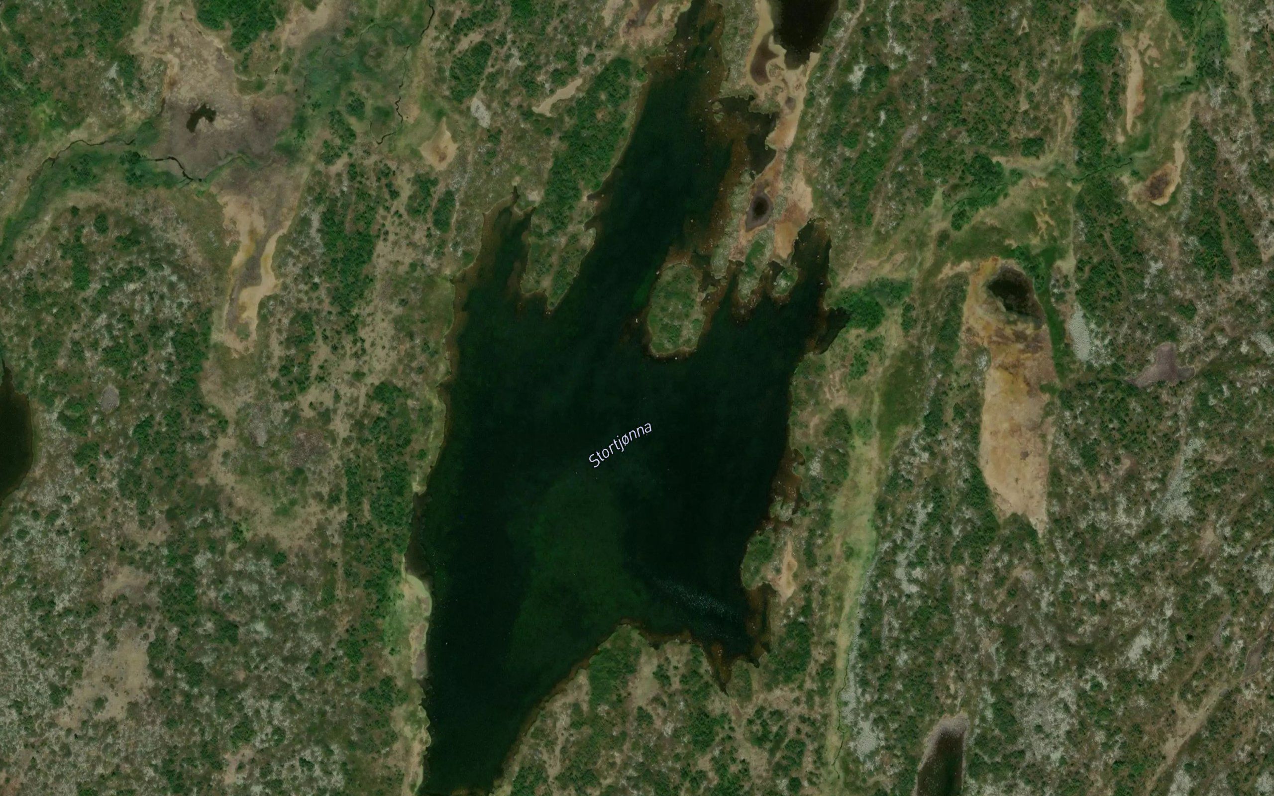 Stortjorna